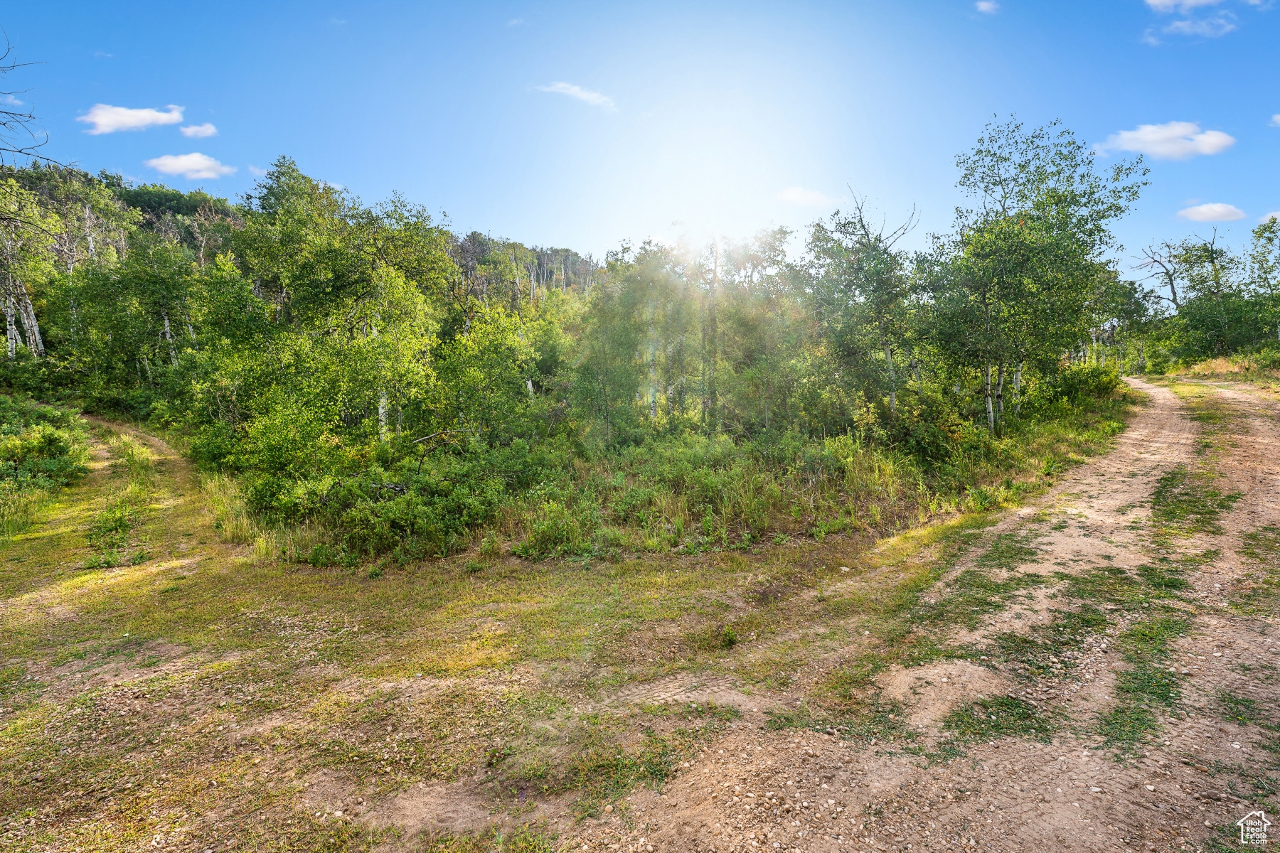 WOODLAND CREST - Land