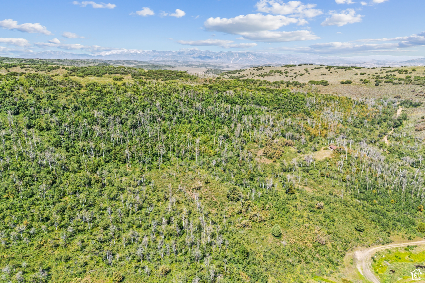 WOODLAND CREST - Land