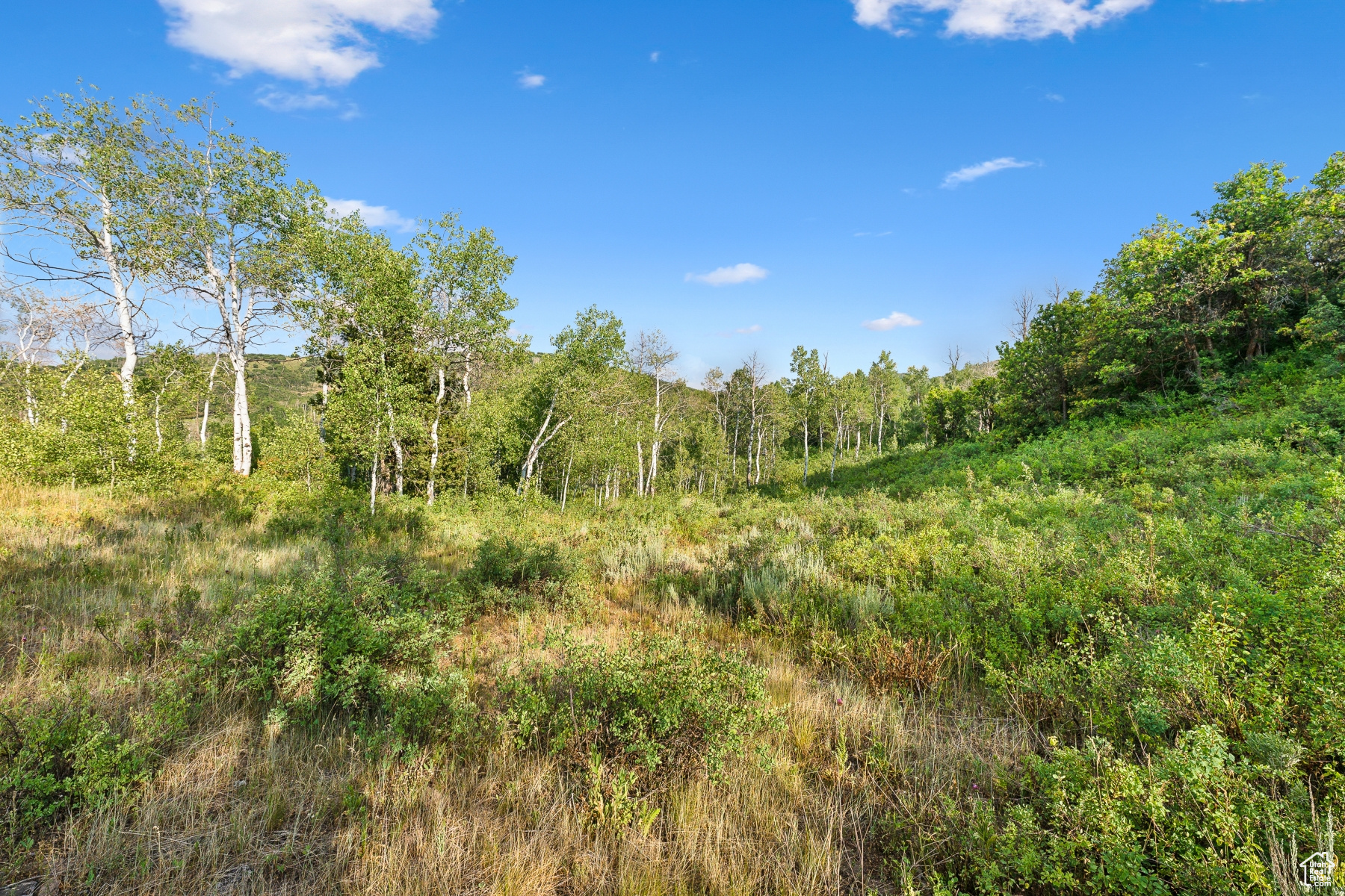 WOODLAND CREST - Land