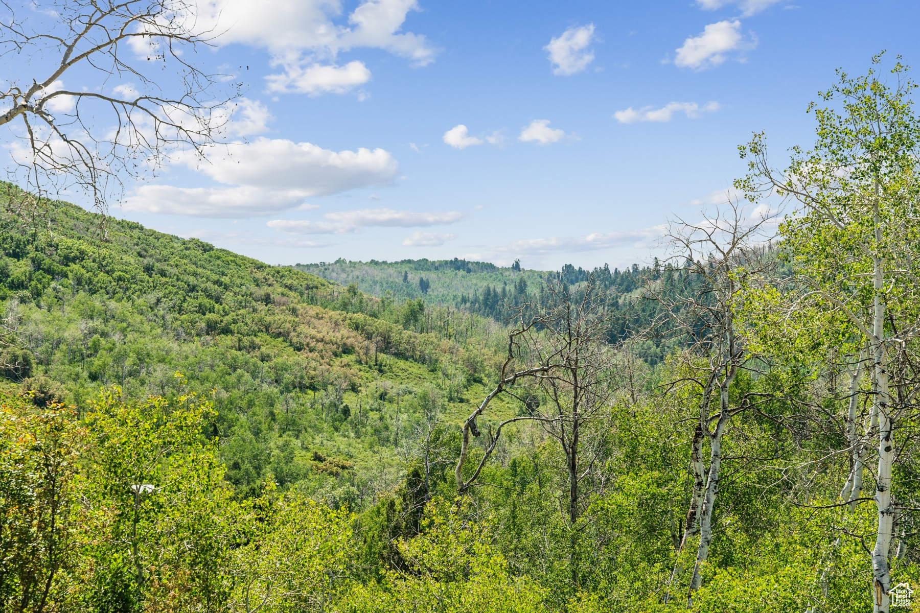 WOODLAND CREST - Land