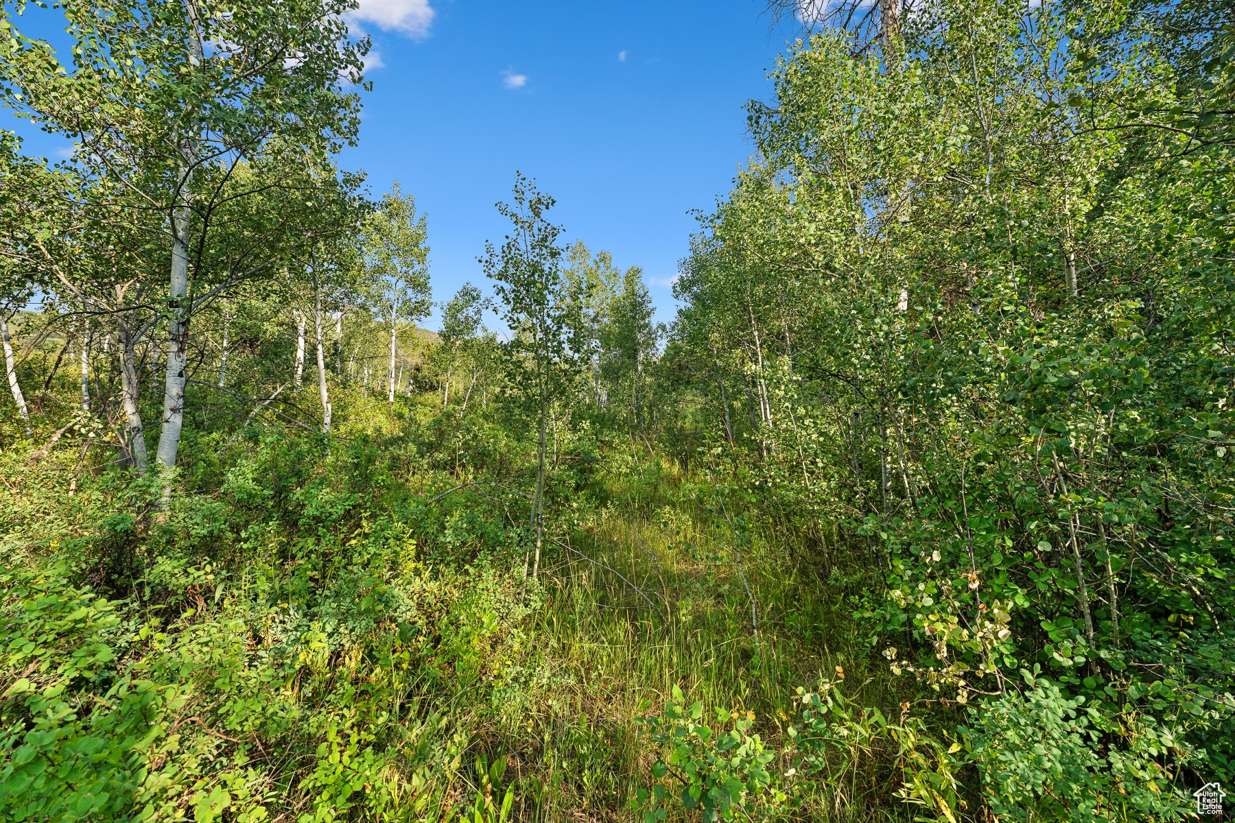 WOODLAND CREST - Land