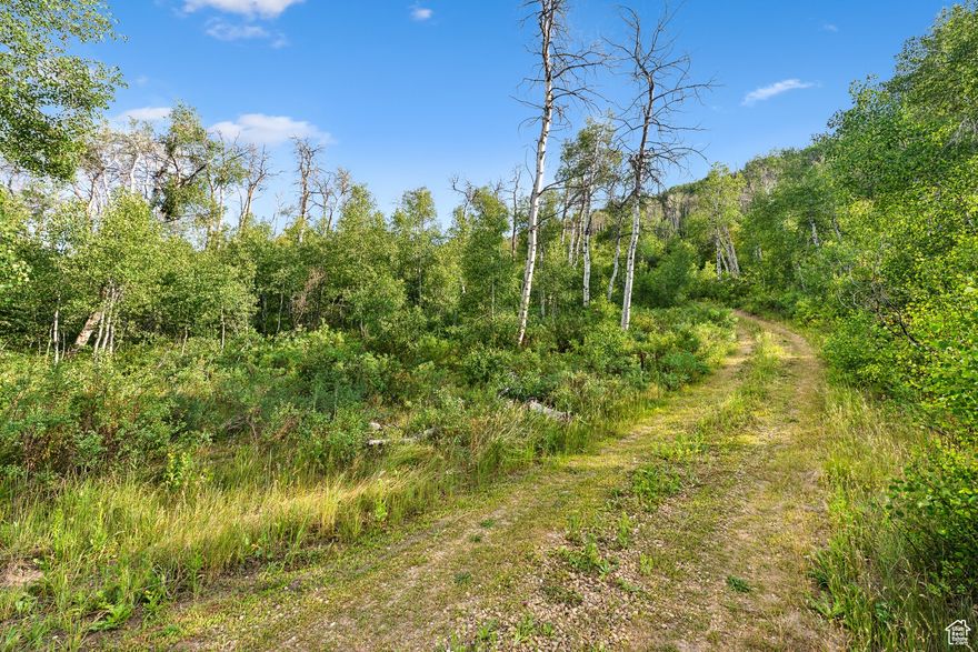 Whether you're seeking a private hunting retreat, a peaceful weekend getaway, or the ideal location to build your dream mountain home, this 20-acre view parcel in the gated community of Woodland Crest offers endless possibilities-with no HOA. Nestled between Victory Ranch and Wolf Creek Ranch, this special property shares its southeast corner with Wolf Creek and boasts stunning panoramic views of the Provo River, Kamas Valley, and the Wasatch and Uinta Mountain Ranges. A rustic caretaker's cabin sits on the property, providing a cozy basecamp as you plan your future build. The cabin features a kitchen area with a propane stove, a wood-burning stove for heat, a small bathroom/changing area, and covered porches on three sides-perfect for taking in the scenery. While there are no defined bedrooms, there is ample space to add one or more. The sink drains to a basic septic system, and although there's no electrical service, a generator was previously used. The site is ideal for an off-grid solar system to support a well pump, lighting, and more.  Enjoy year-round outdoor living: fly fish the Provo River, boat on Jordanelle Reservoir, ski or bike at Deer Valley East, and take advantage of the nearby dining, golf, and entertainment in Victory Ranch and Park City. Woodland offers peace, privacy, and a true connection to nature-yet it's just a short drive to Park City, Heber, Provo, and Salt Lake International Airport. This is your opportunity to own a versatile legacy property with commanding views, total privacy, and unrestricted freedom-a rare find in the heart of Utah's mountain country.