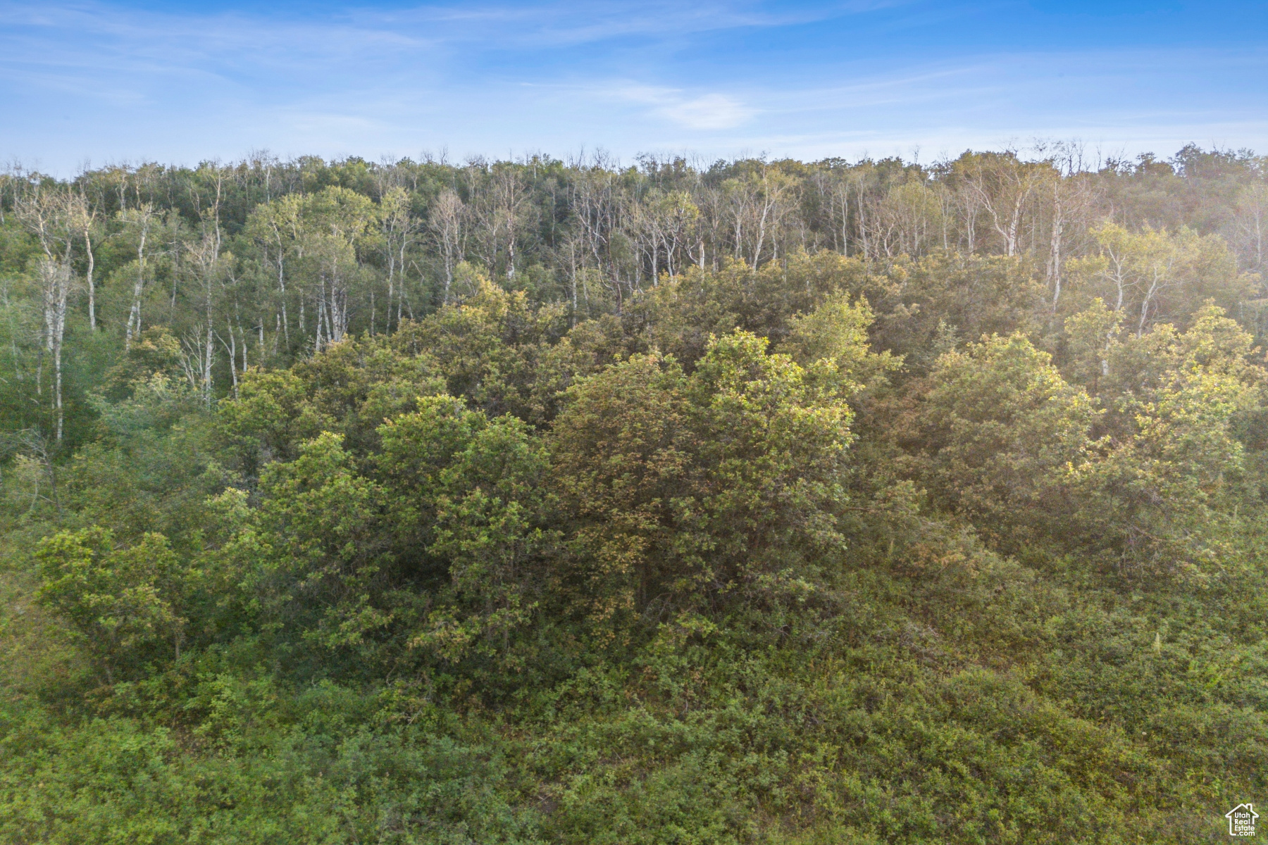 WOODLAND CREST - Land