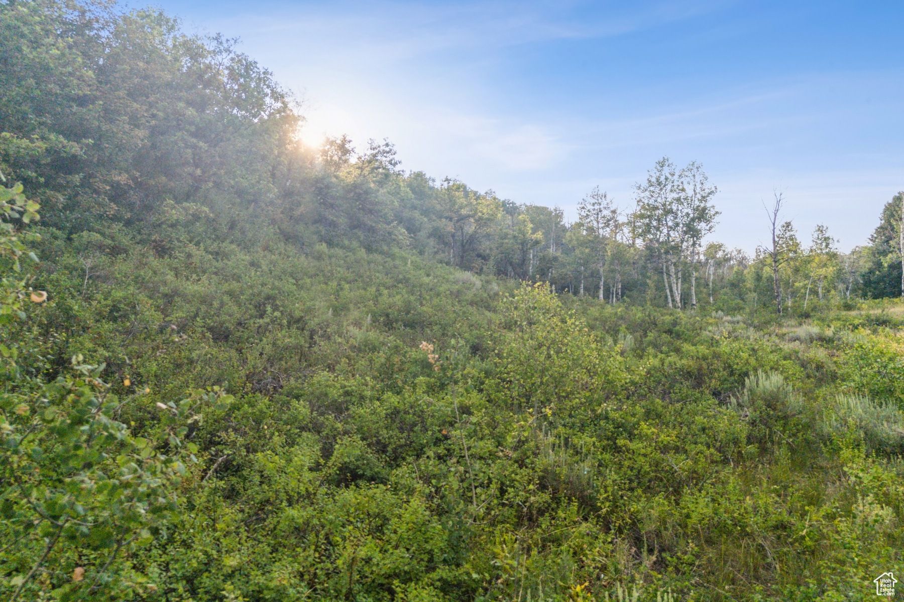 WOODLAND CREST - Land