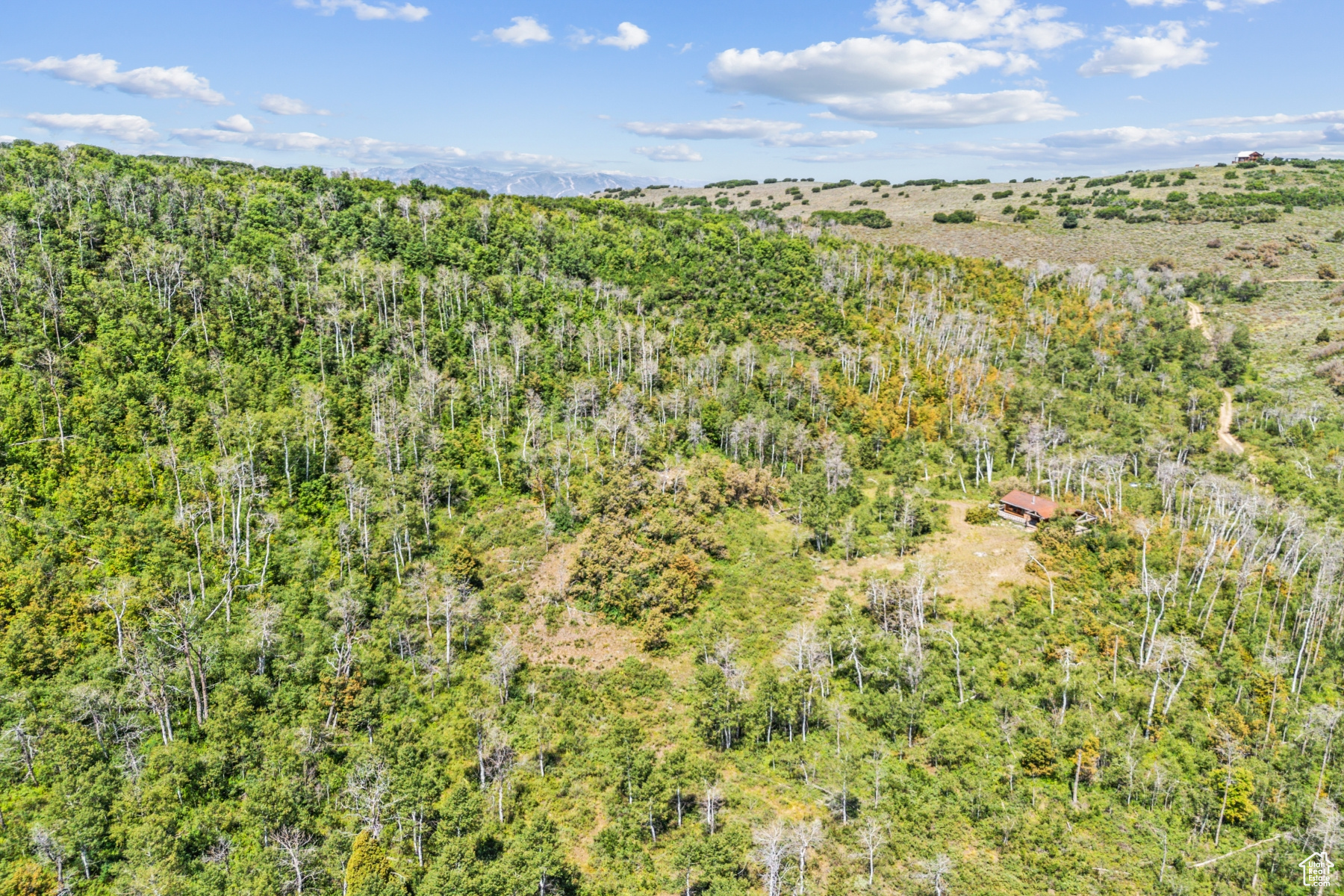 WOODLAND CREST - Land