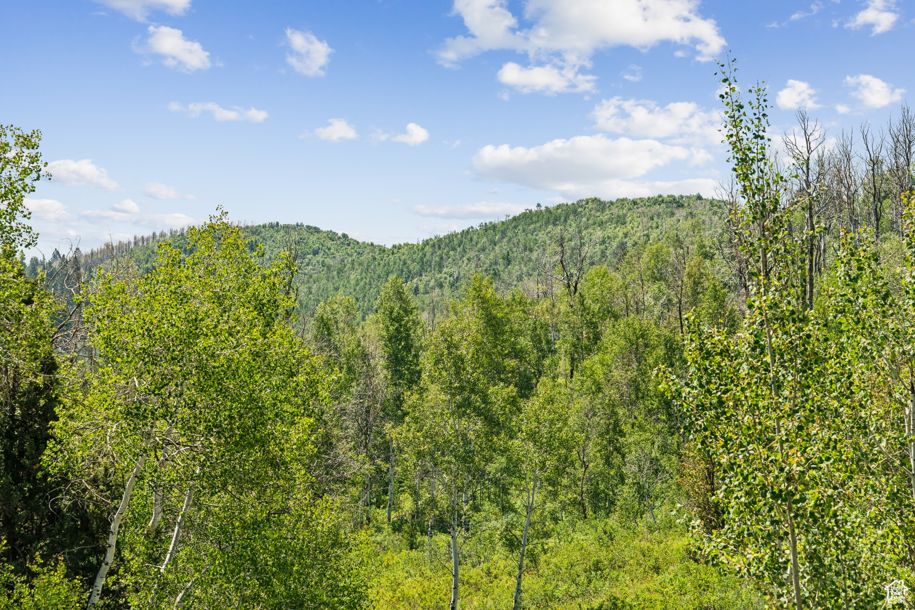 WOODLAND CREST - Land