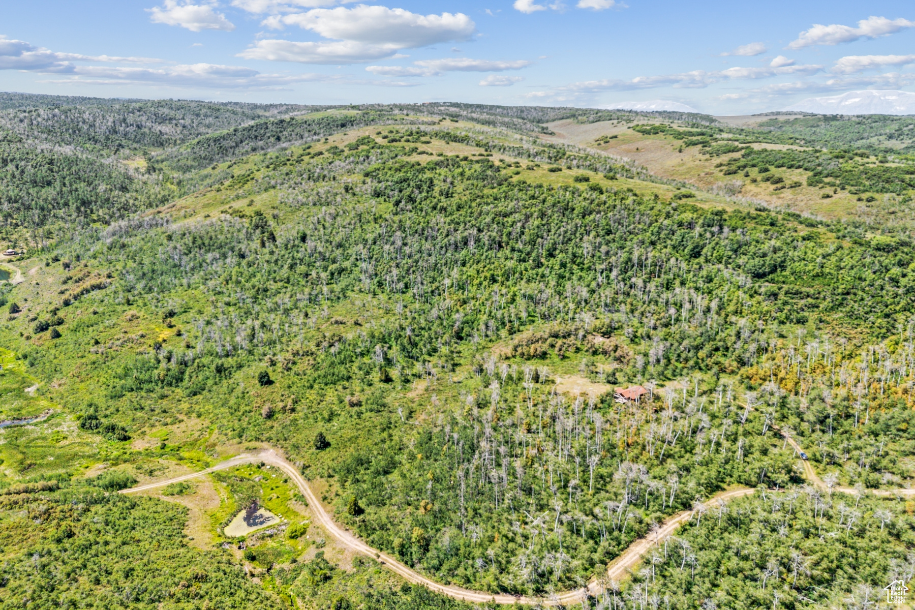 WOODLAND CREST - Land