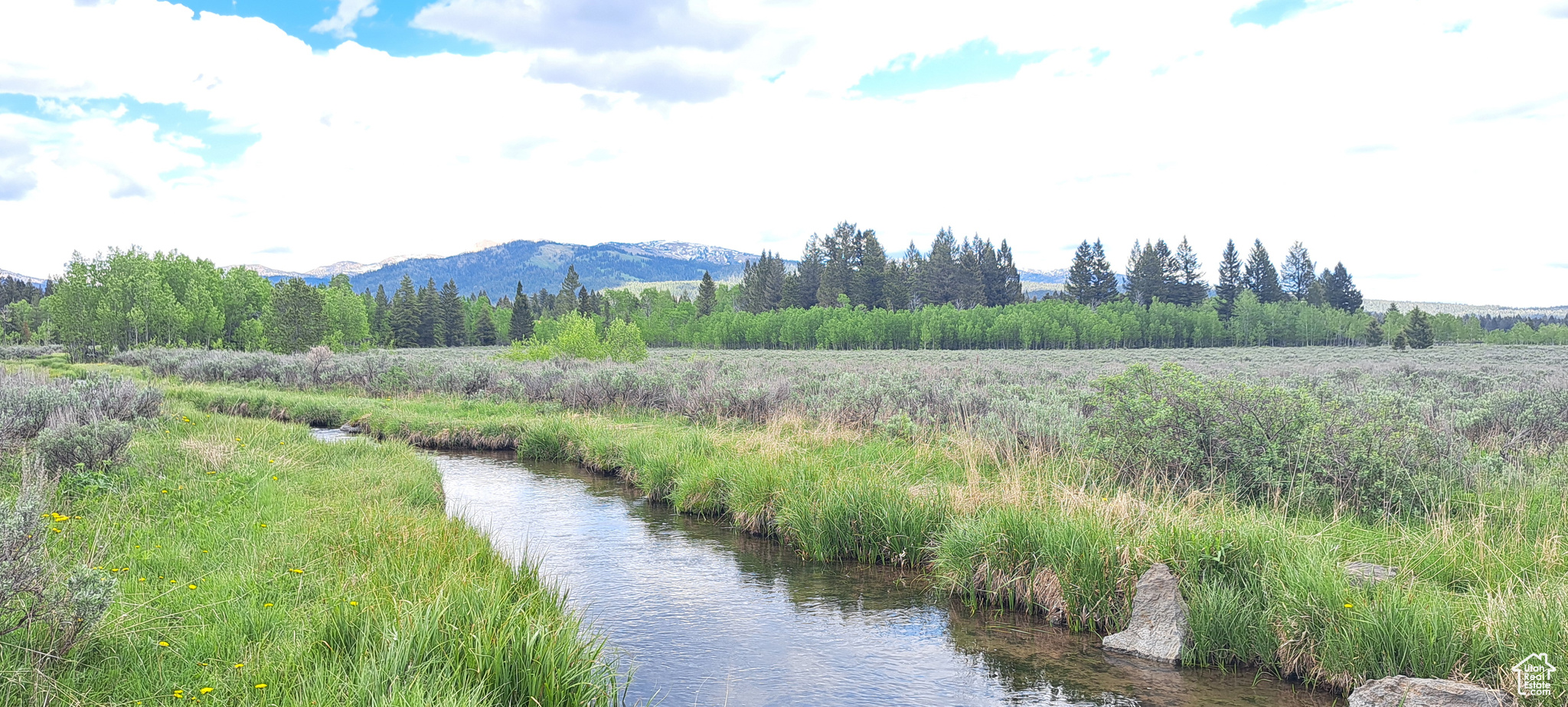 St. Ryans Way #13, Island Park, Idaho image 14