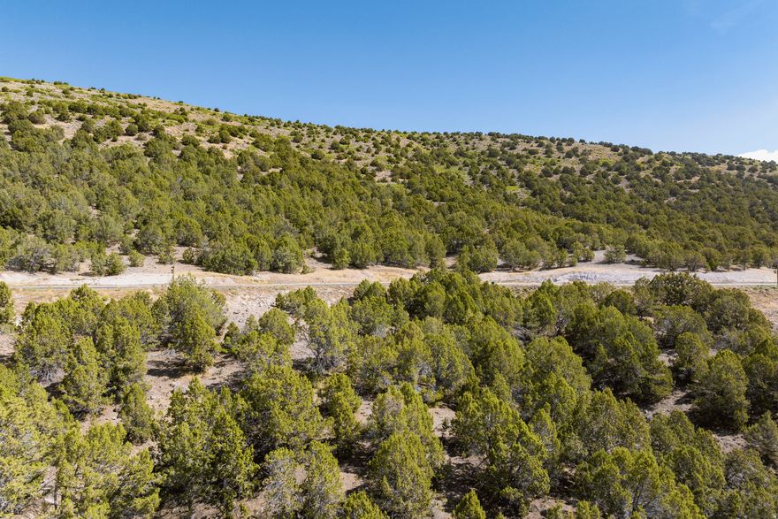 Tucked away in the coveted upper mountain enclave of Red Ledges, Lot 553 offers a rare blend of privacy, serenity, and value. Set on 0.51 acres, this homesite is surrounded by mature juniper trees, creating a secluded, peaceful setting ideal for your mountain retreat.  Located on a quiet dead-end circle, the property enjoys minimal traffic and an added sense of exclusivity-perfect for those seeking a more tranquil lifestyle within the community. The elevated position in the upper mountain area provides a unique natural backdrop and a true escape from the everyday.  This is an exceptional value opportunity within Red Ledges, with the ability to pair the homesite with a Golf Park or Lifestyle Membership, unlocking access to the community's renowned amenities and experiences. Whether you're looking to build now or invest for the future, Lot 553 presents a compelling chance to own in one of Utah's premier private communities.