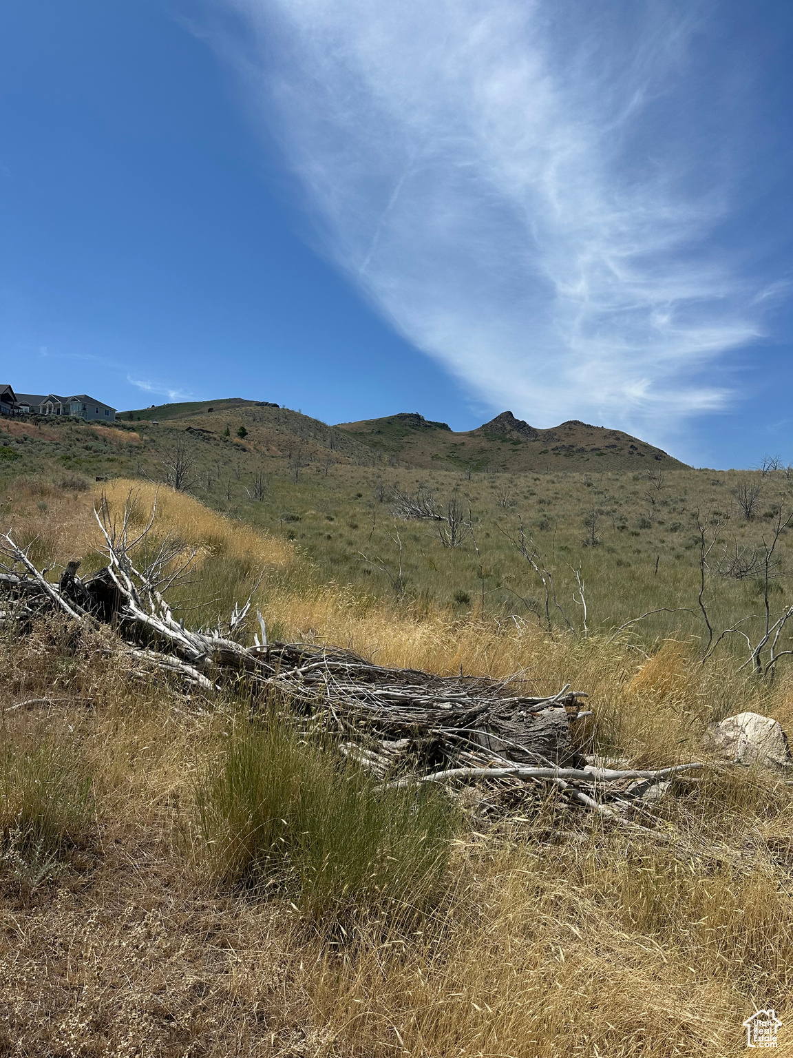 ROSE CANYON HEIGHTS - Land