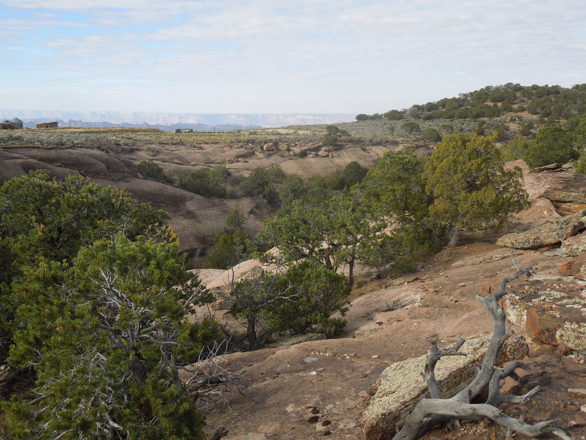COUGAR CANYON - Land