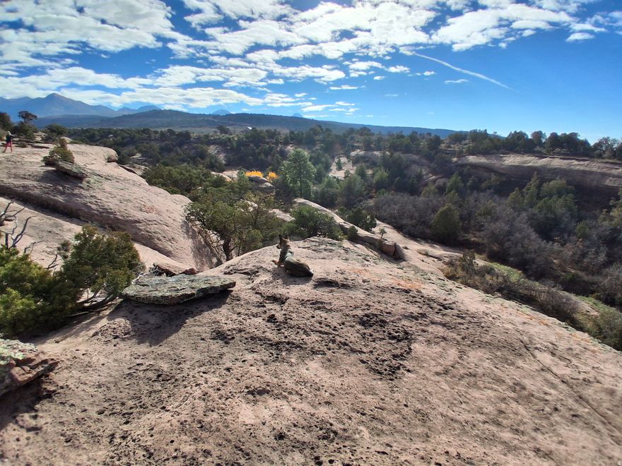 Beauty to behold in all directions from this high elevation property fronting on Cougar Canyon on Wilson Mesa. Power  (transformer on pole) on this 7 1/2 acres on Wilson Mesa, and Emery Telcom Fiber-Optic stubbed. Lots of Pinyons and Juniper trees looking down into lovely Cougar Canyon. Travel trailer included in purchase price of $179,000, and without trailer  price is $169,000.00. Vistas clear to Behind the Rocks, LaSal Mts., Wilson Mesa and Moab Rim. Beautiful sandstone ledges and formations down into canyon on South end of property. You will be able to rock climb on your own place. See attached aerial photo f or location. Septic system will need to be built. for sanitation. You'll have lots of serenity and privacy in this remote area overlooking so much beauty. Make this your retreat.