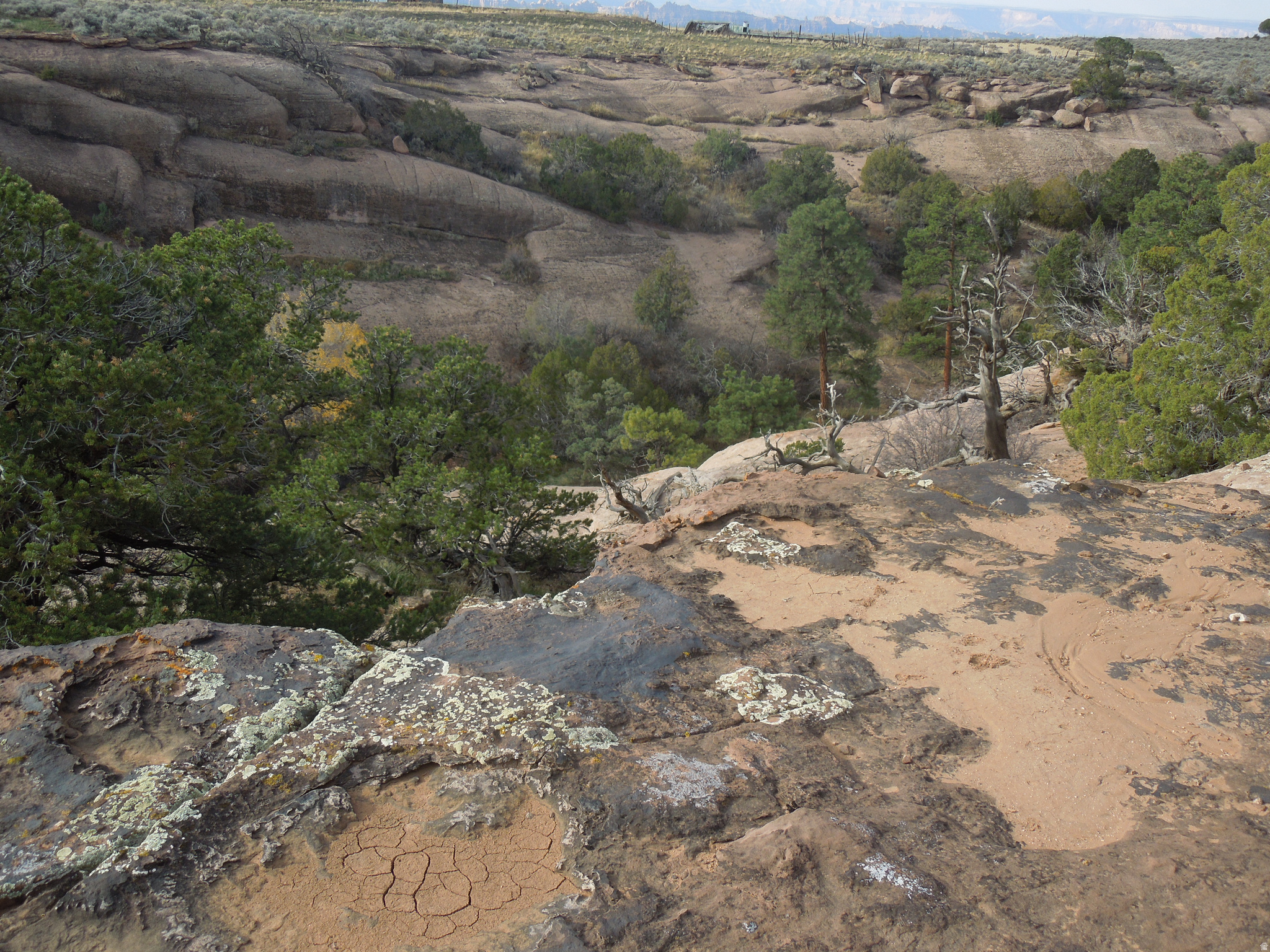 COUGAR CANYON - Land