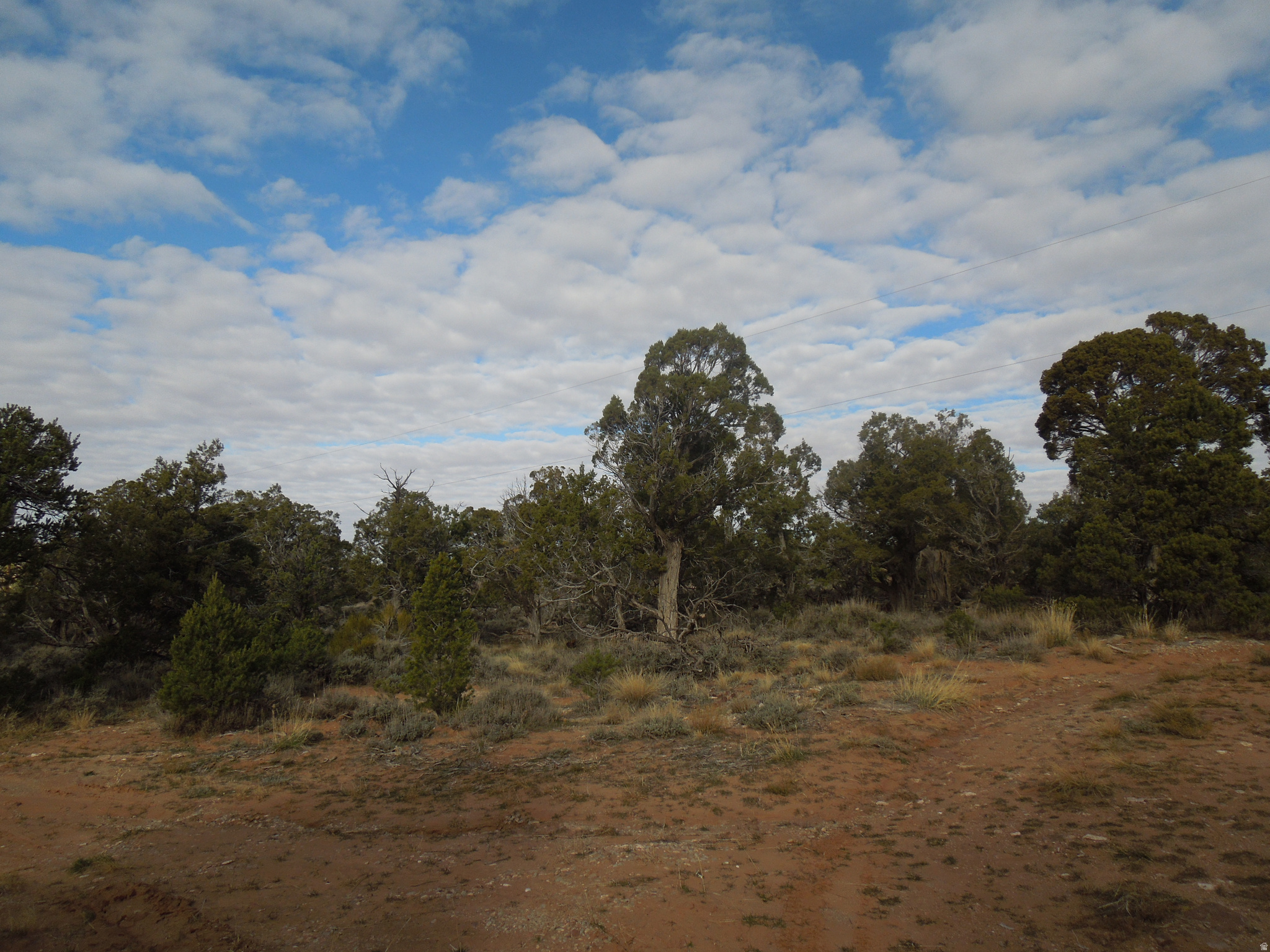COUGAR CANYON - Land