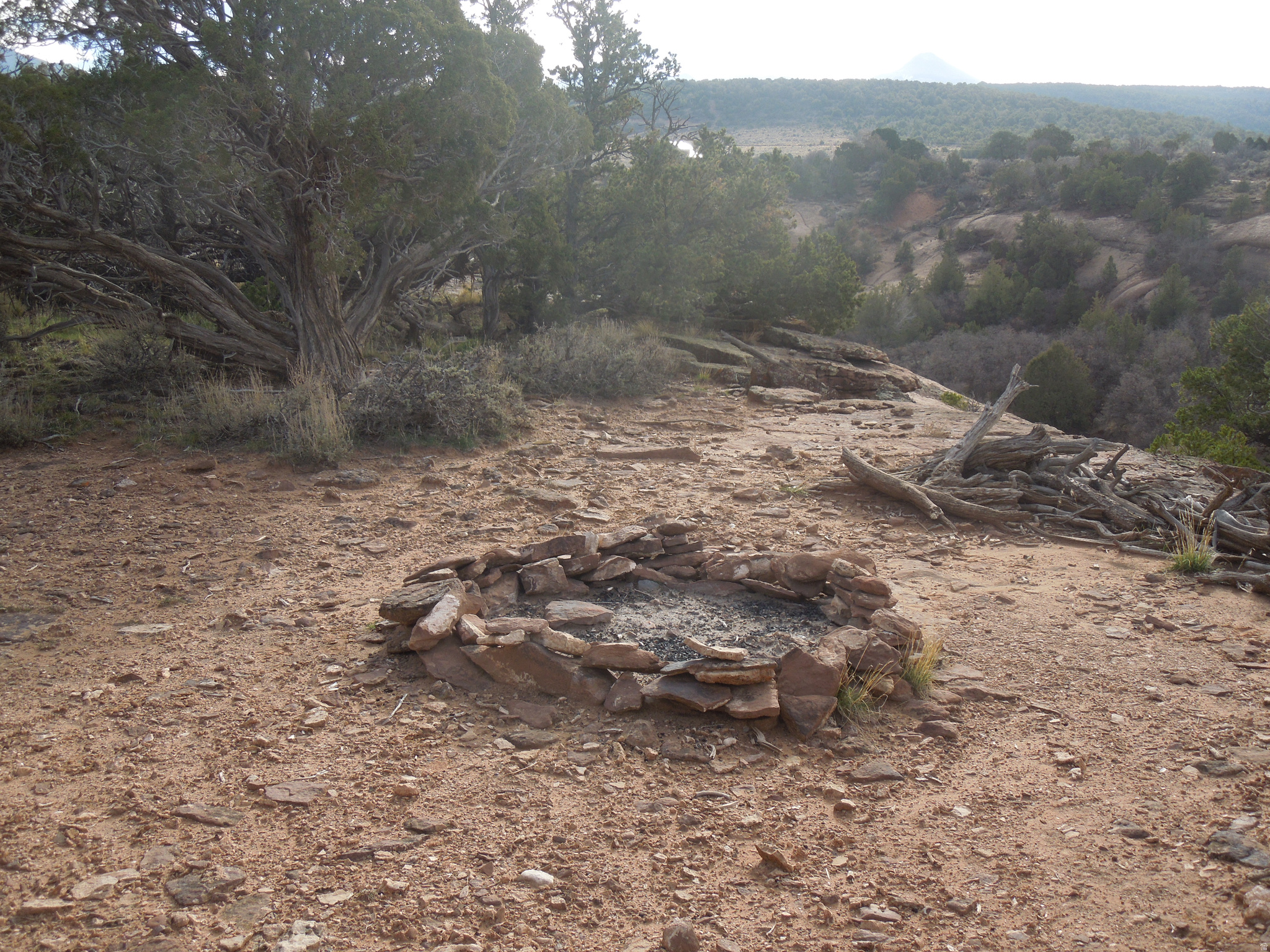 COUGAR CANYON - Land