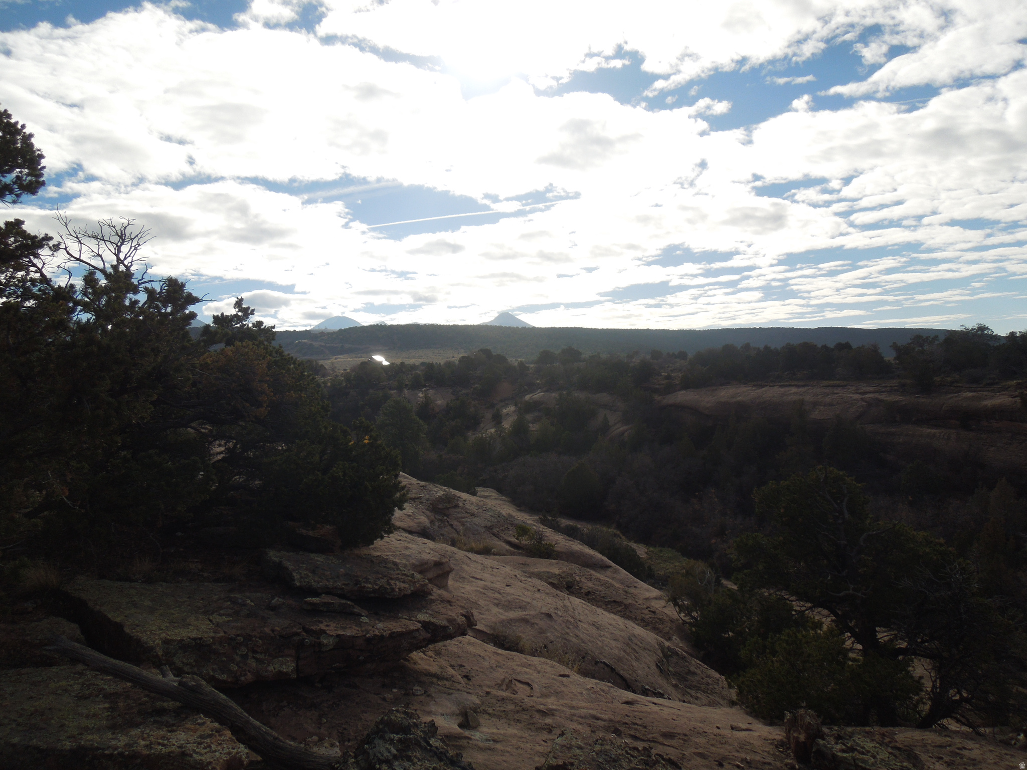 COUGAR CANYON - Land