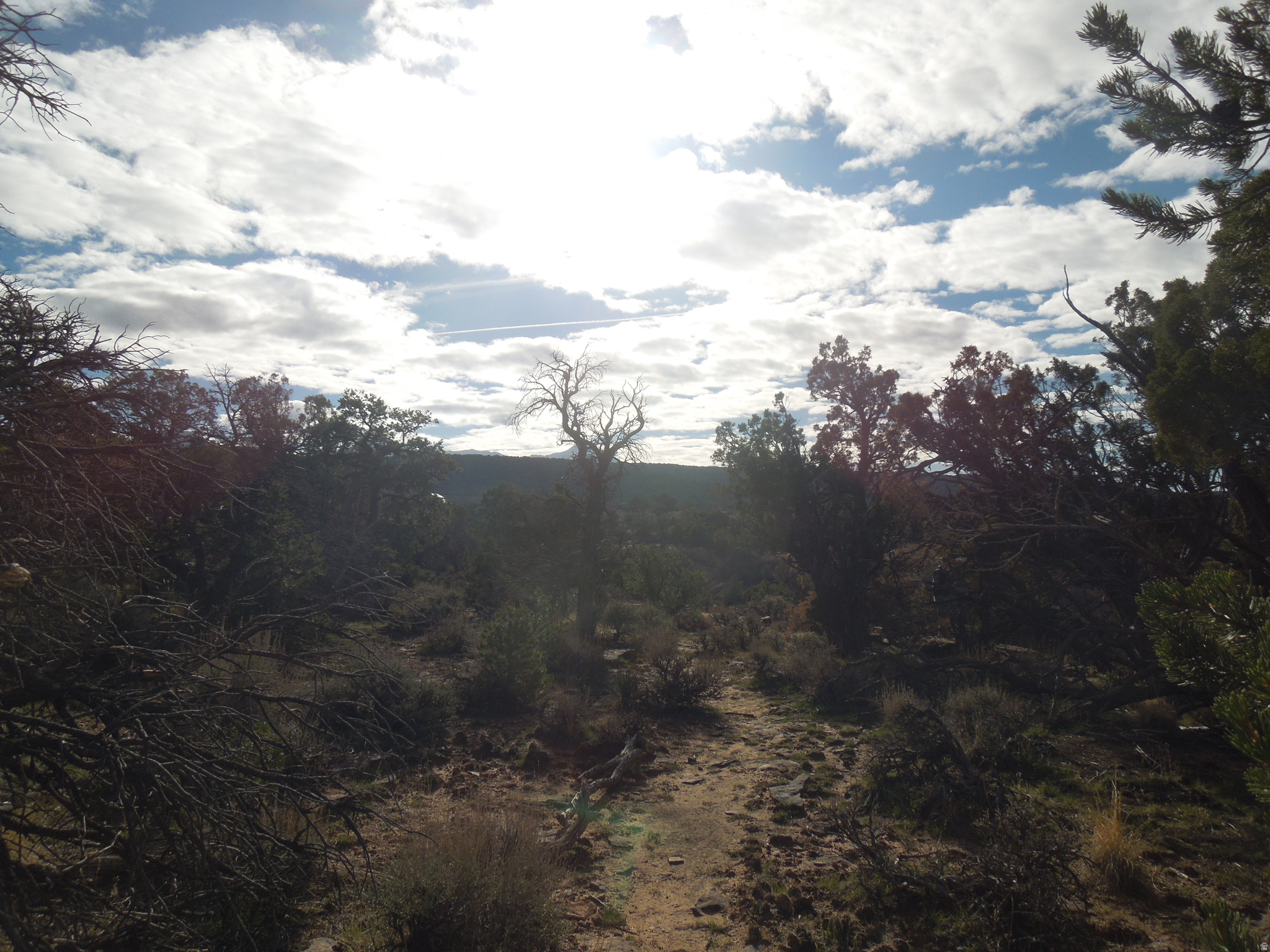 COUGAR CANYON - Land