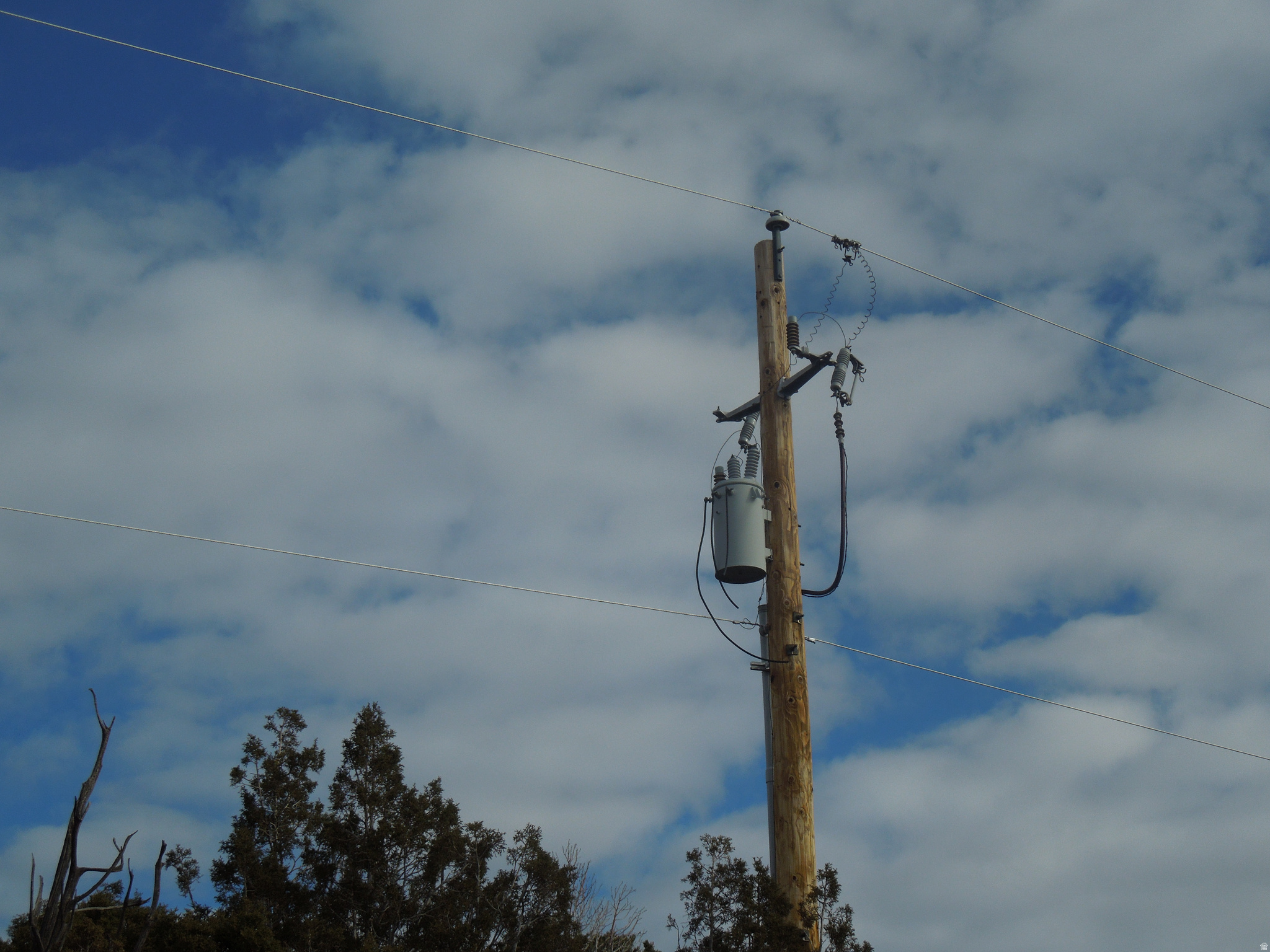 COUGAR CANYON - Land