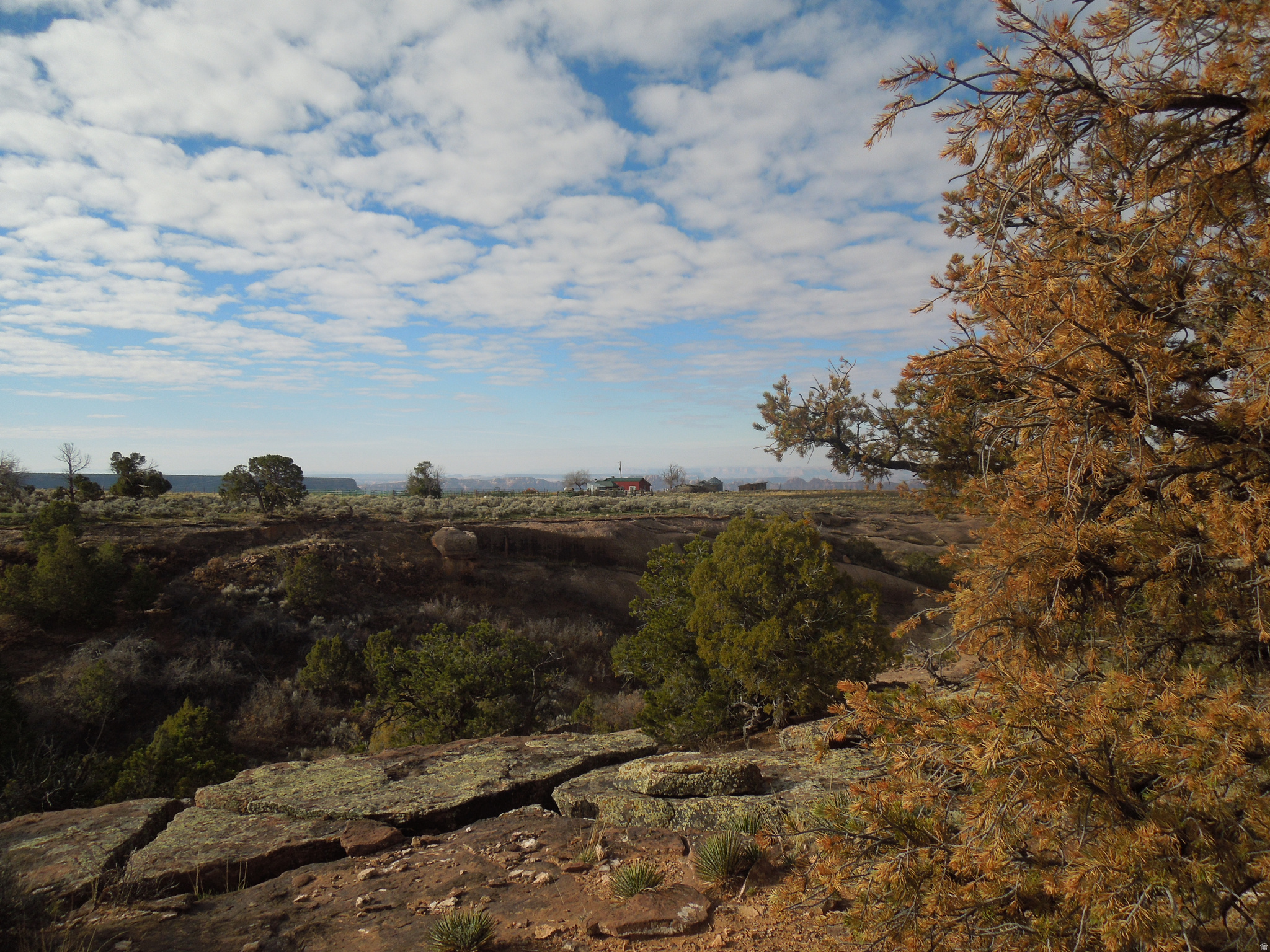 COUGAR CANYON - Land
