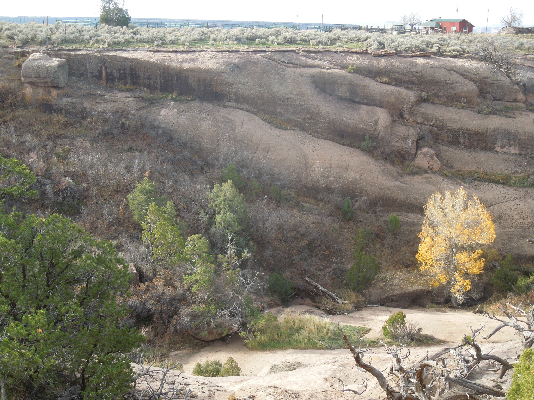 COUGAR CANYON - Land