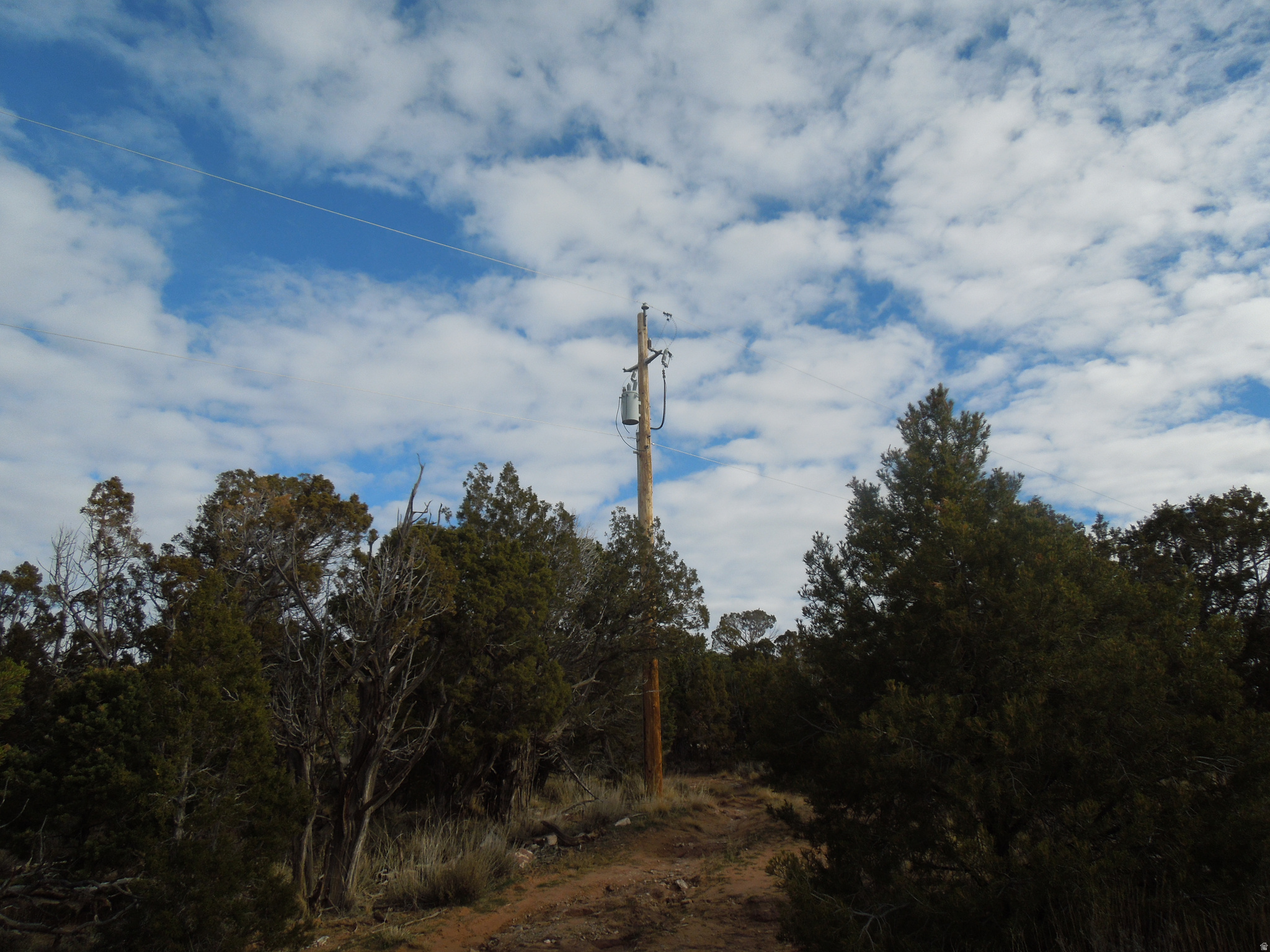 COUGAR CANYON - Land