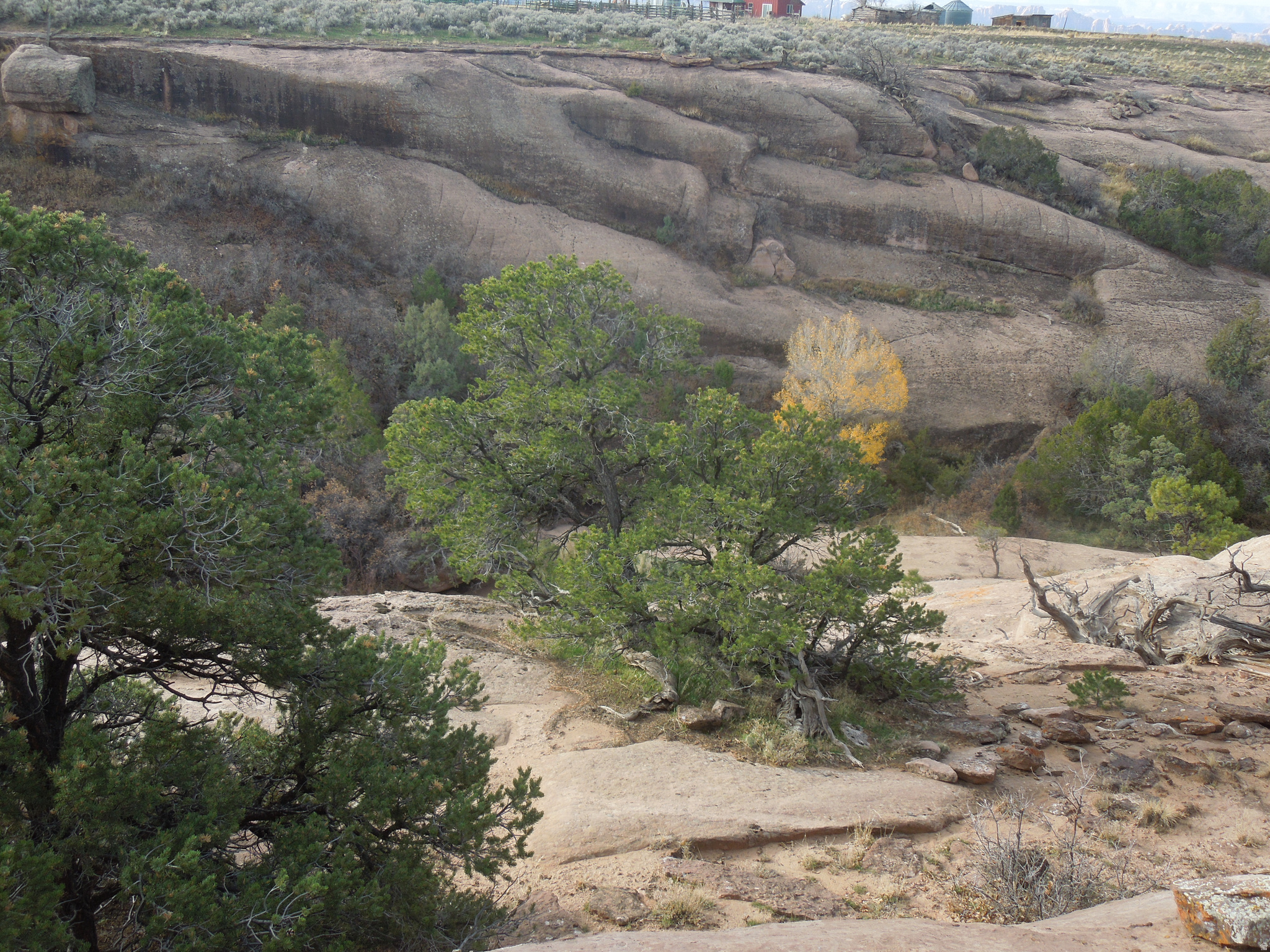 COUGAR CANYON - Land