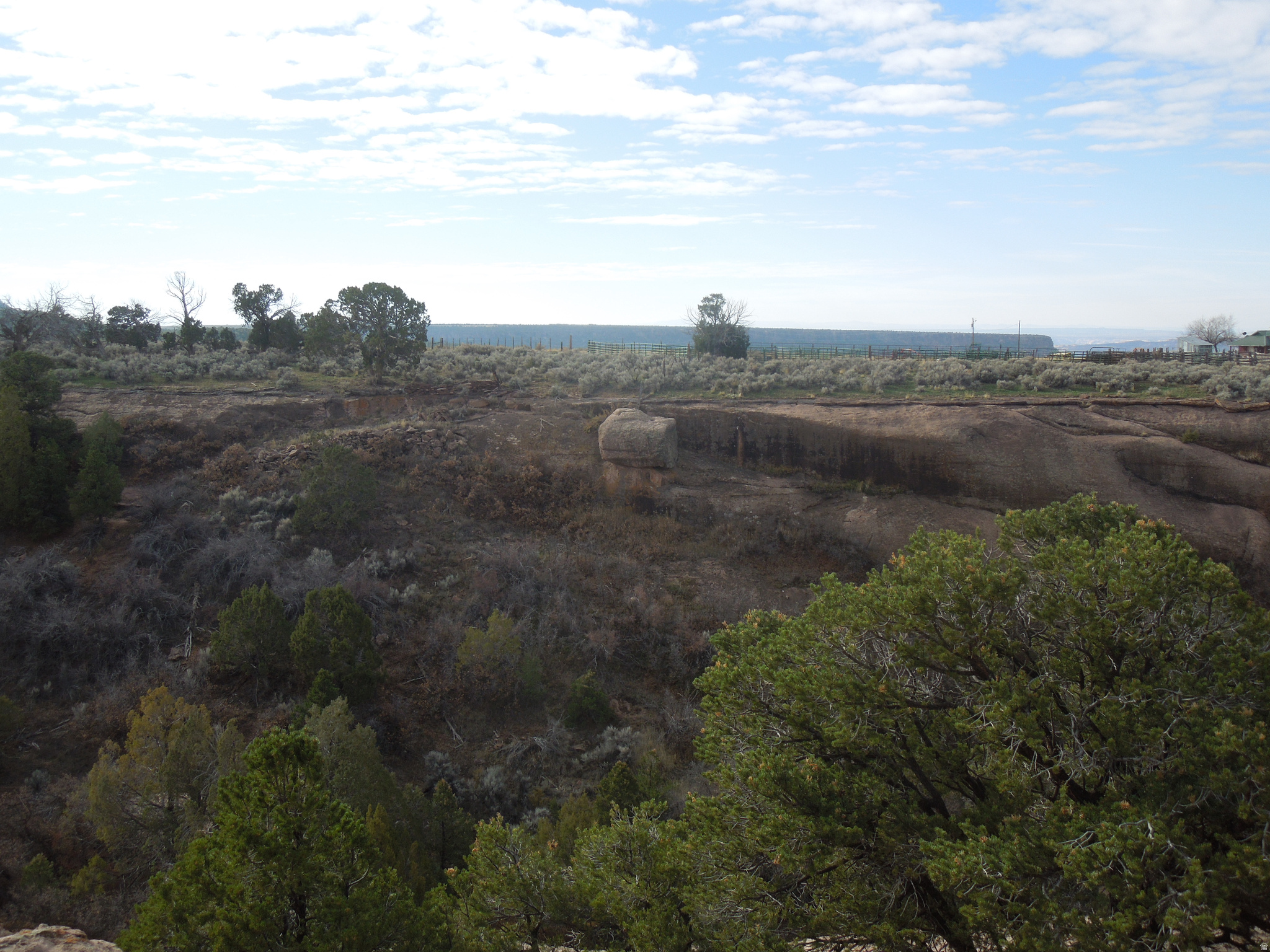 COUGAR CANYON - Land