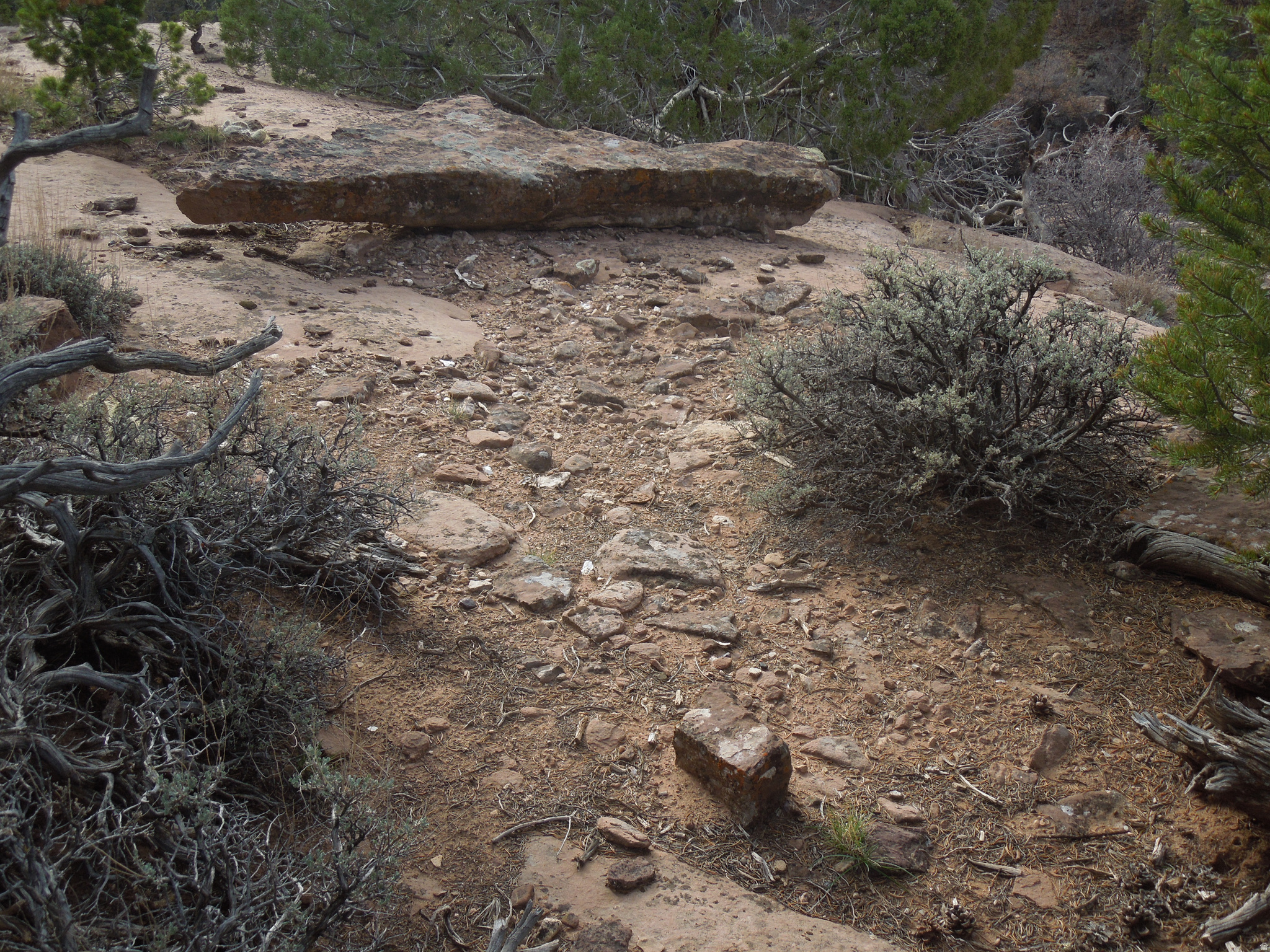 COUGAR CANYON - Land