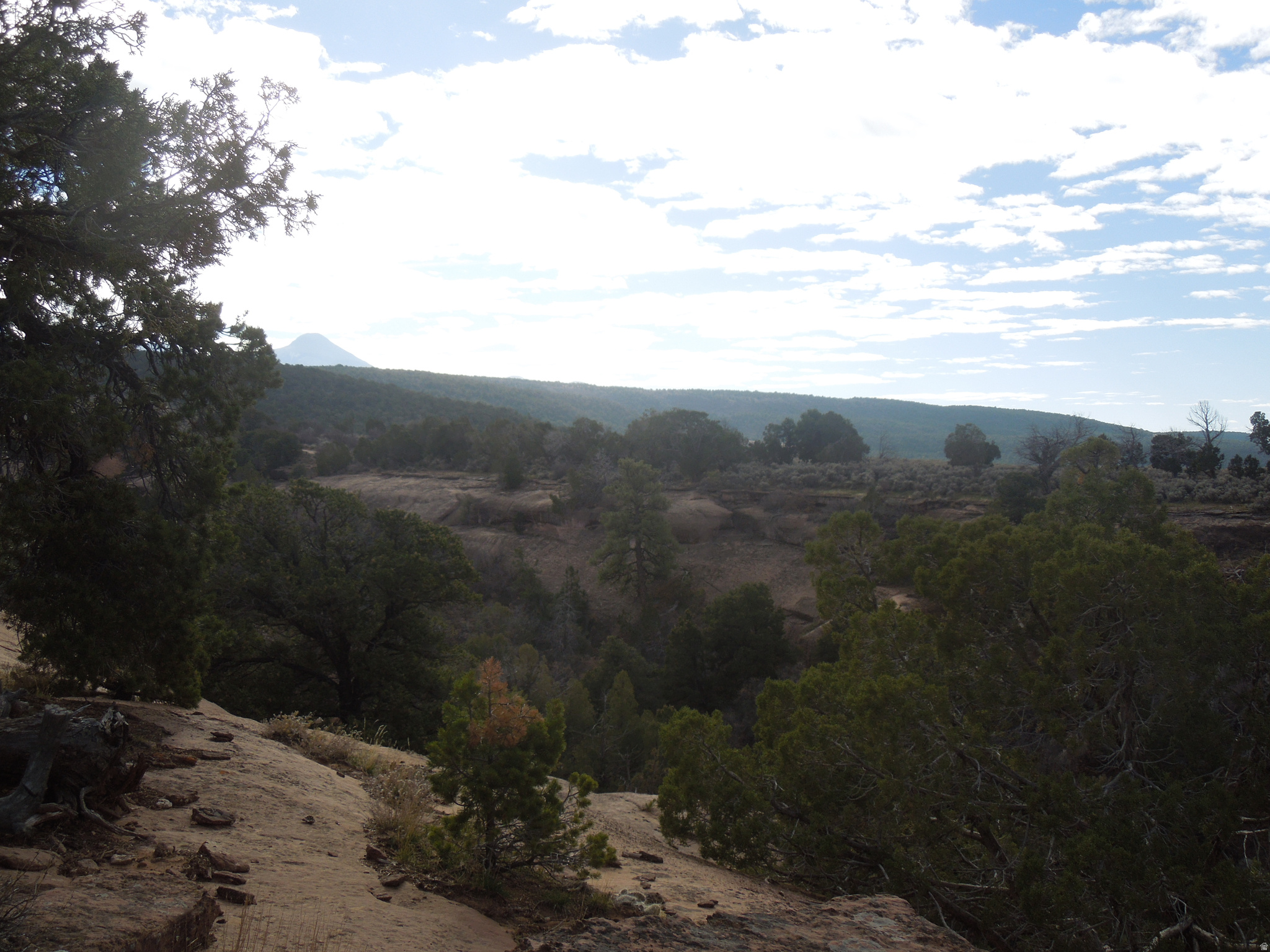 COUGAR CANYON - Land