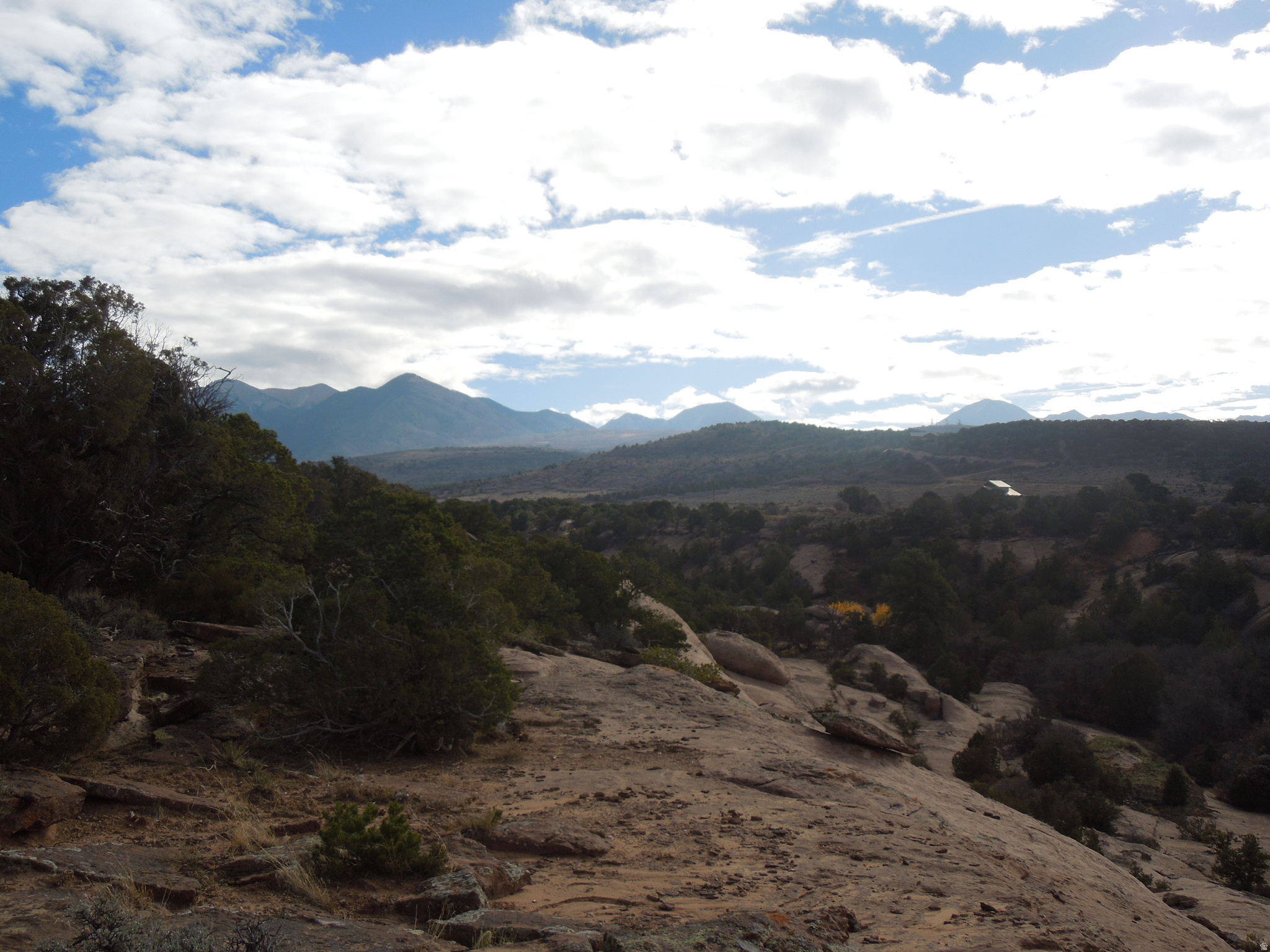 COUGAR CANYON - Land