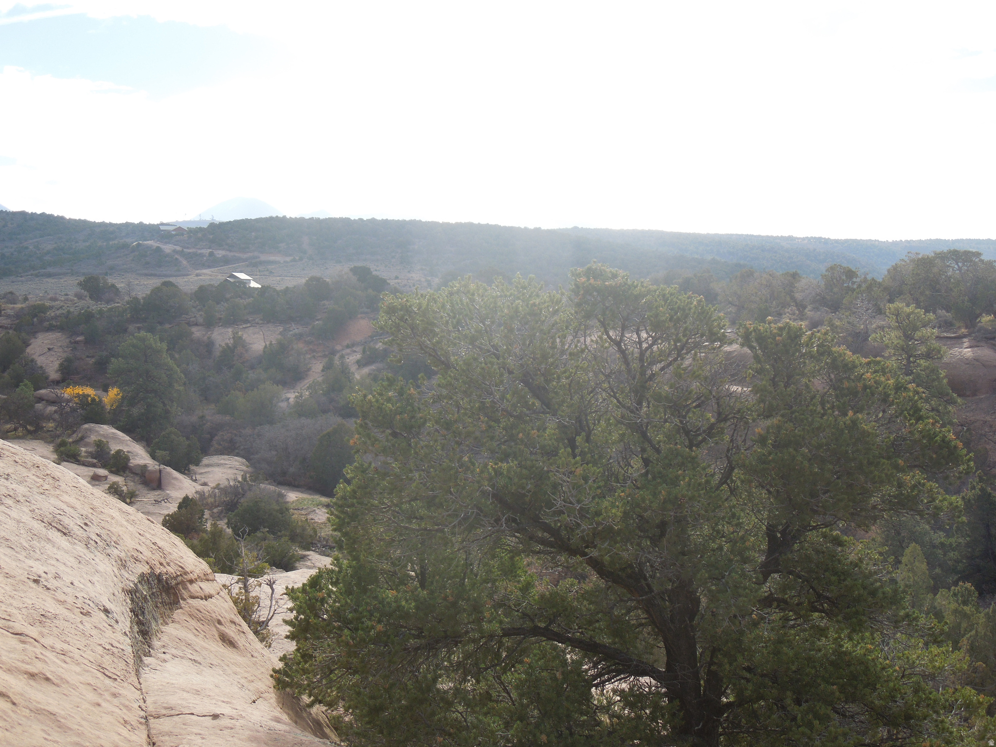 COUGAR CANYON - Land