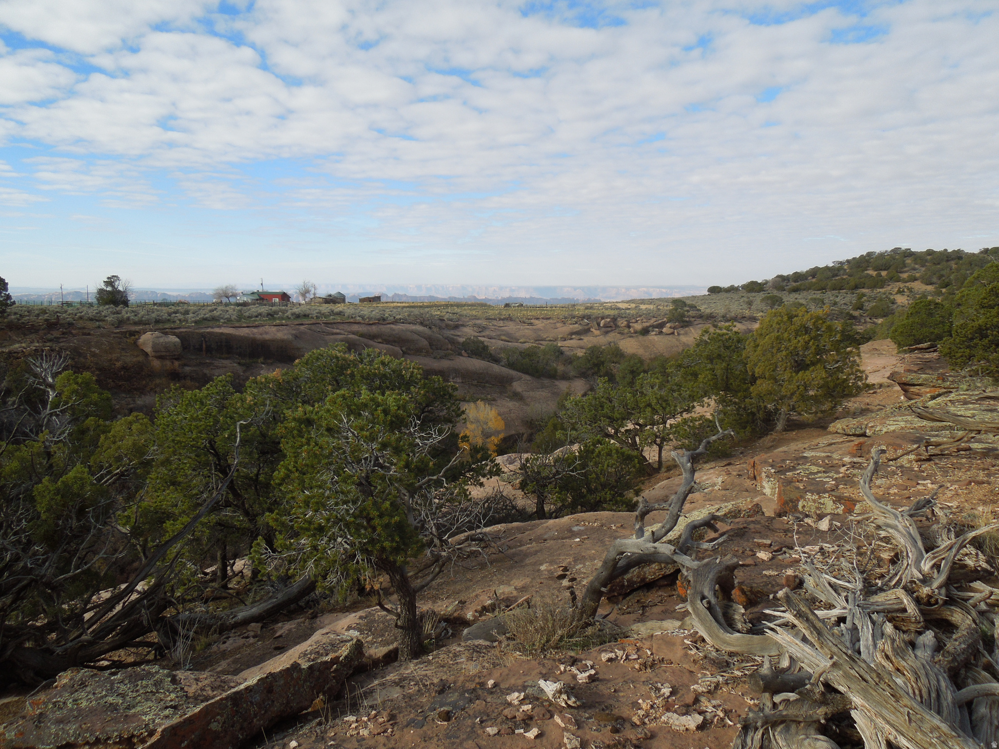 COUGAR CANYON - Land