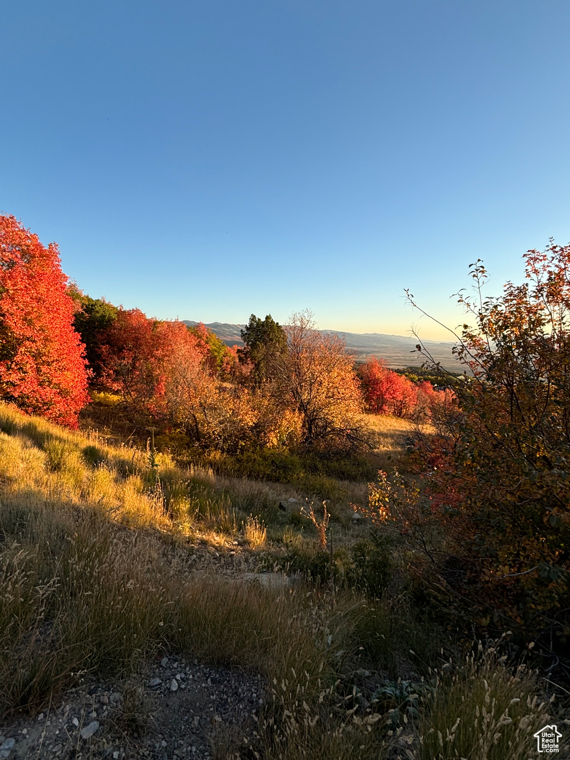 83 Jd Way, Fairview, Utah image 13