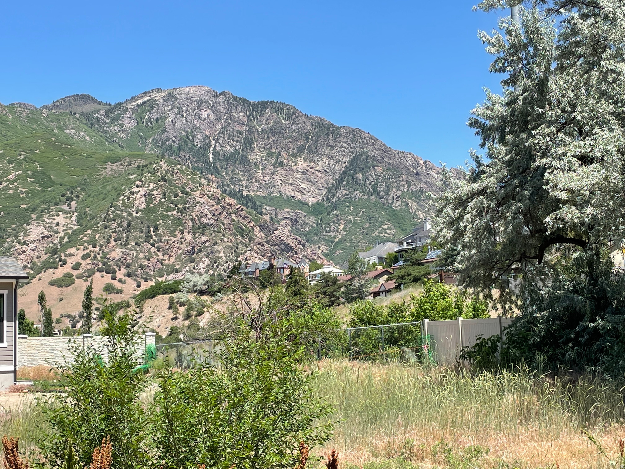Mountain backdrop featuring varied natural rock formations and lush green foliage