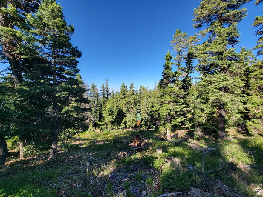 Escape to your mountain retreat! This .60-acre lot in scenic Navajo Lake Estates offers peace, privacy and endless adventure. Only minutes from Navajo Lake and top-notch recreation, it's the perfect getaway to relax, unwind and reconnect with nature. Camp, build your dream cabin, or bring the RV - your mountain escape starts here!