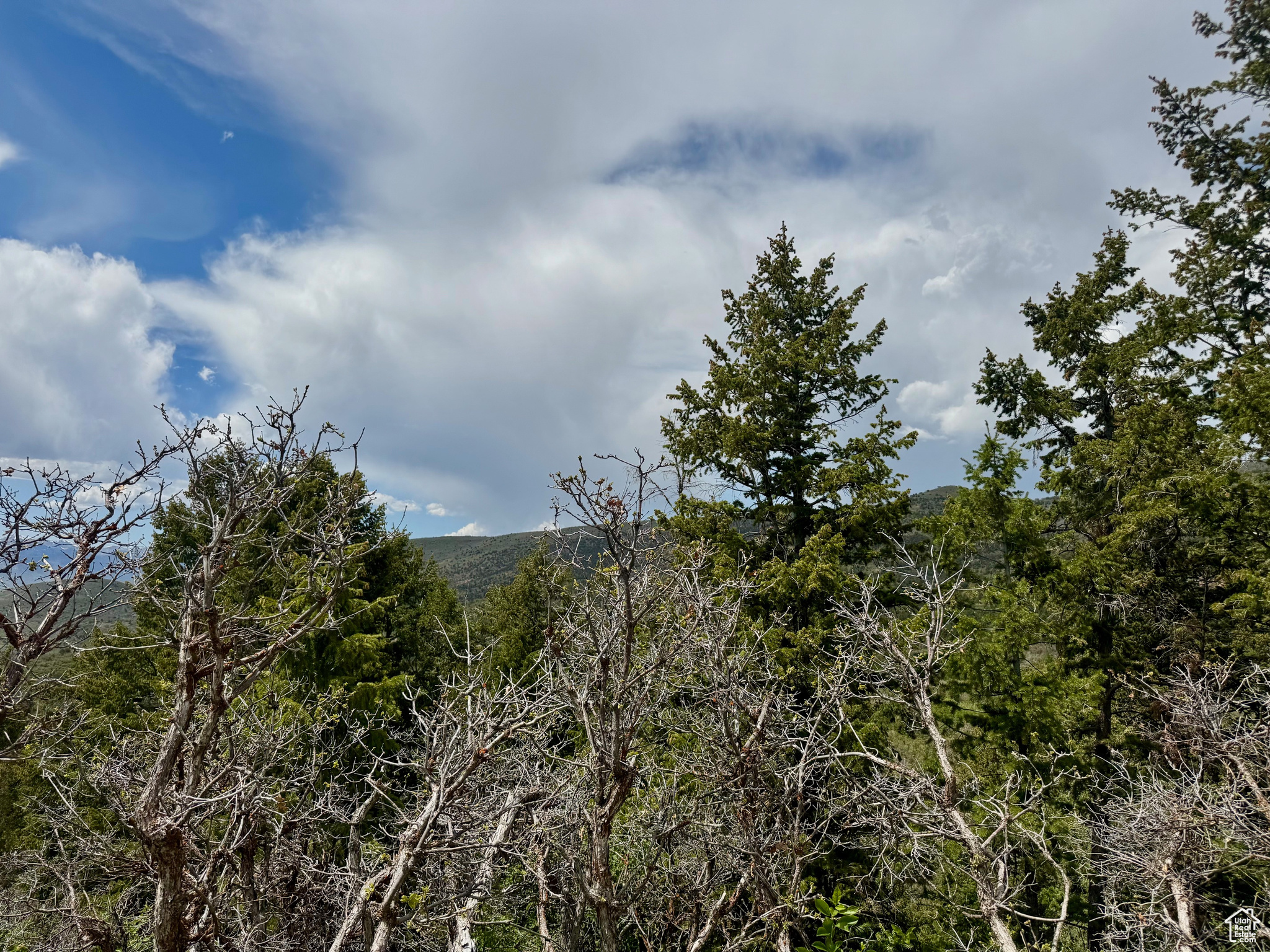 9395 Ridge Pine Rd #807, Heber City, Utah image 7