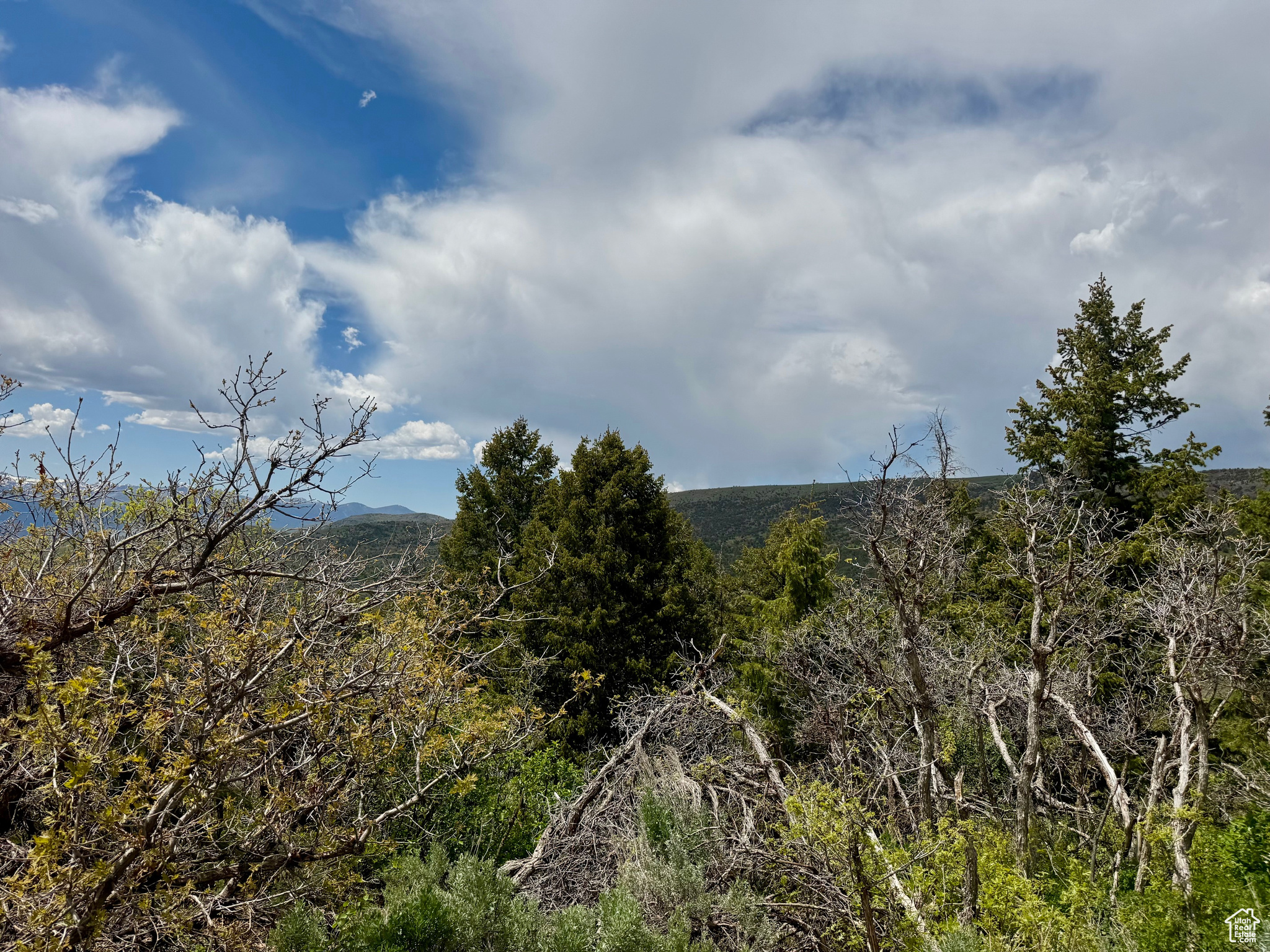 9395 Ridge Pine Rd #807, Heber City, Utah image 4