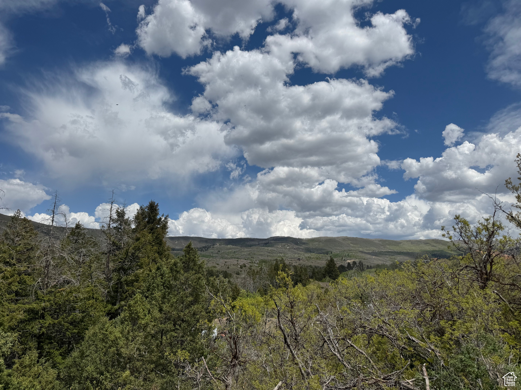 9395 Ridge Pine Rd #807, Heber City, Utah image 5