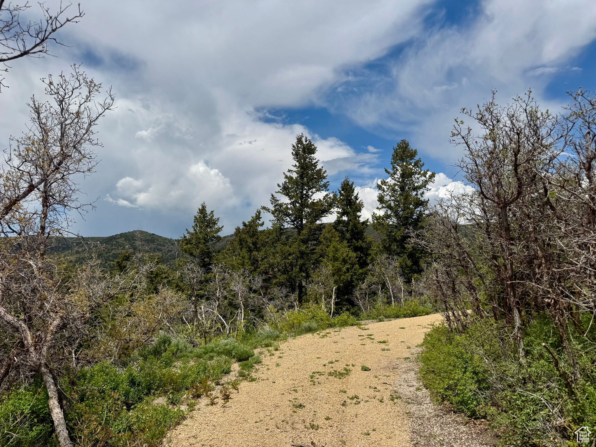 9395 Ridge Pine Rd #807, Heber City, Utah image 9