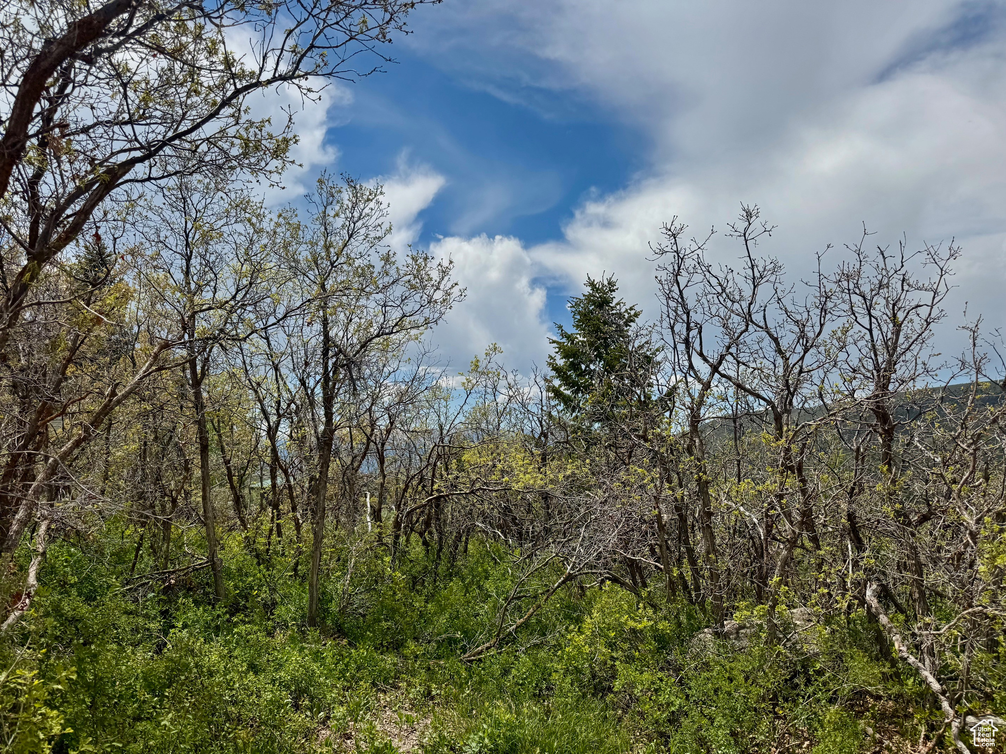 9395 Ridge Pine Rd #807, Heber City, Utah image 6