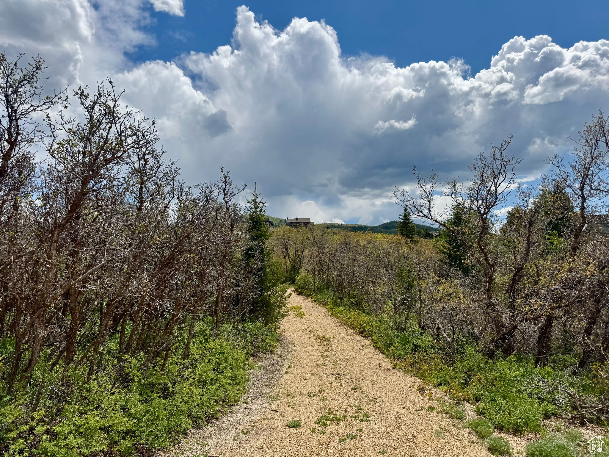 9395 Ridge Pine Rd #807, Heber City, Utah image 10