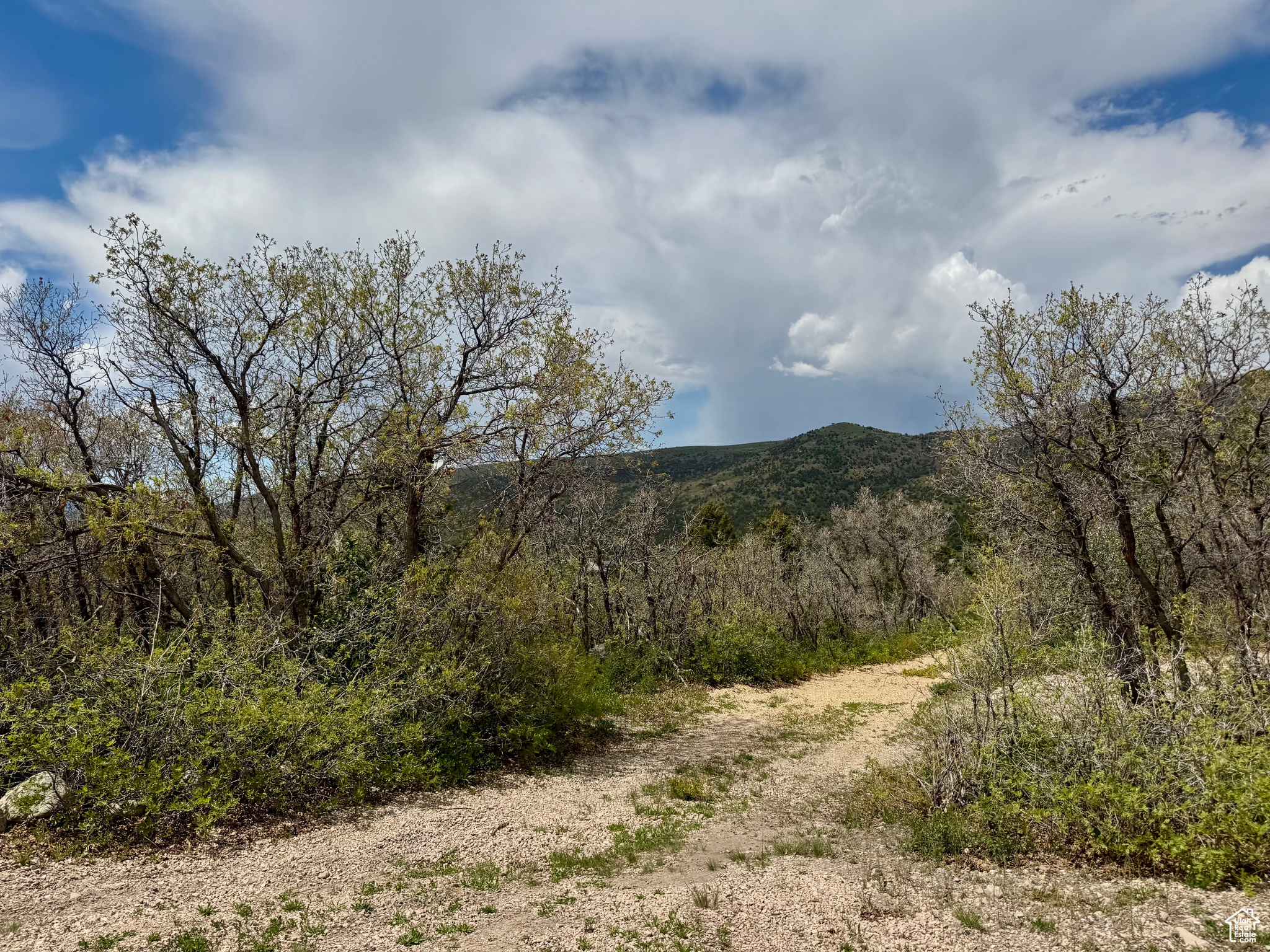 9395 Ridge Pine Rd #807, Heber City, Utah image 8