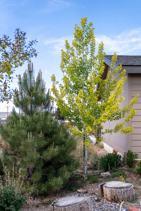 Tiny photo for 523 N 200 E #13, Loa, UT 84747 (MLS # 2163148)