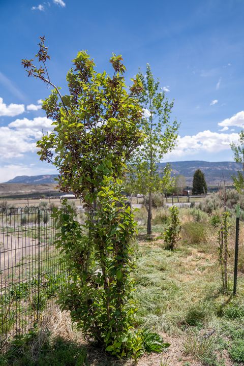 Tiny photo for 523 N 200 E #13, Loa, UT 84747 (MLS # 2163148)
