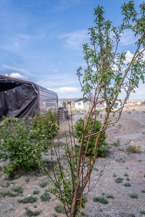 Tiny photo for 523 N 200 E #13, Loa, UT 84747 (MLS # 2163148)