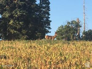 TOLLGATE CANYON - Residential