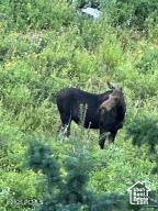 TOLLGATE CANYON - Residential