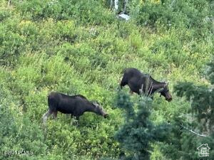 TOLLGATE CANYON - Residential