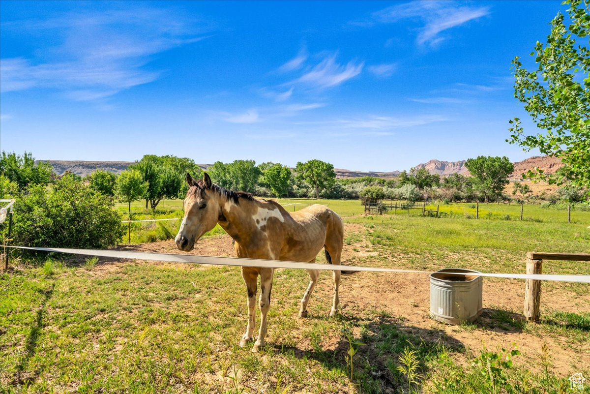 1800 W Grafton Rd, Rockville, Utah image 36