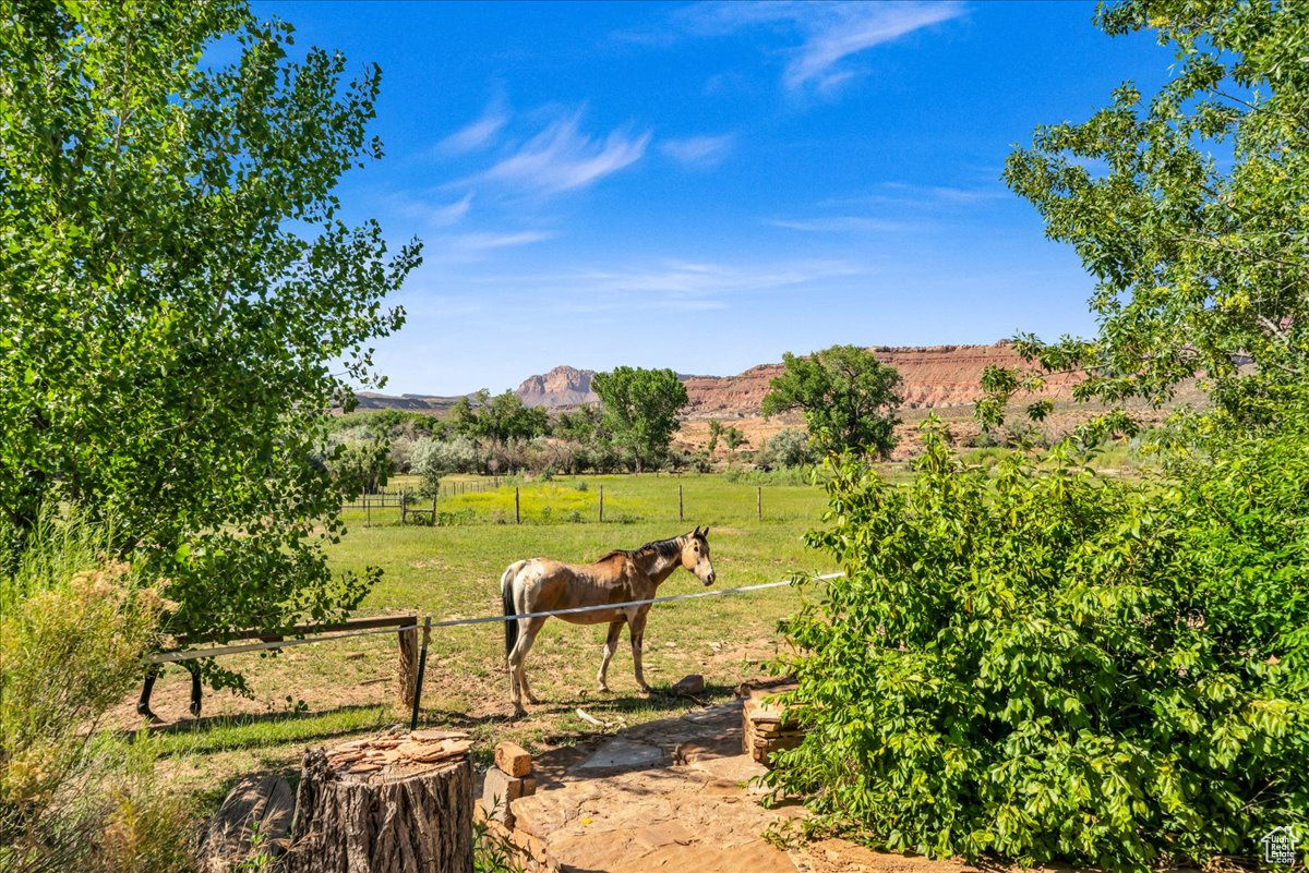 1800 W Grafton Rd, Rockville, Utah image 37